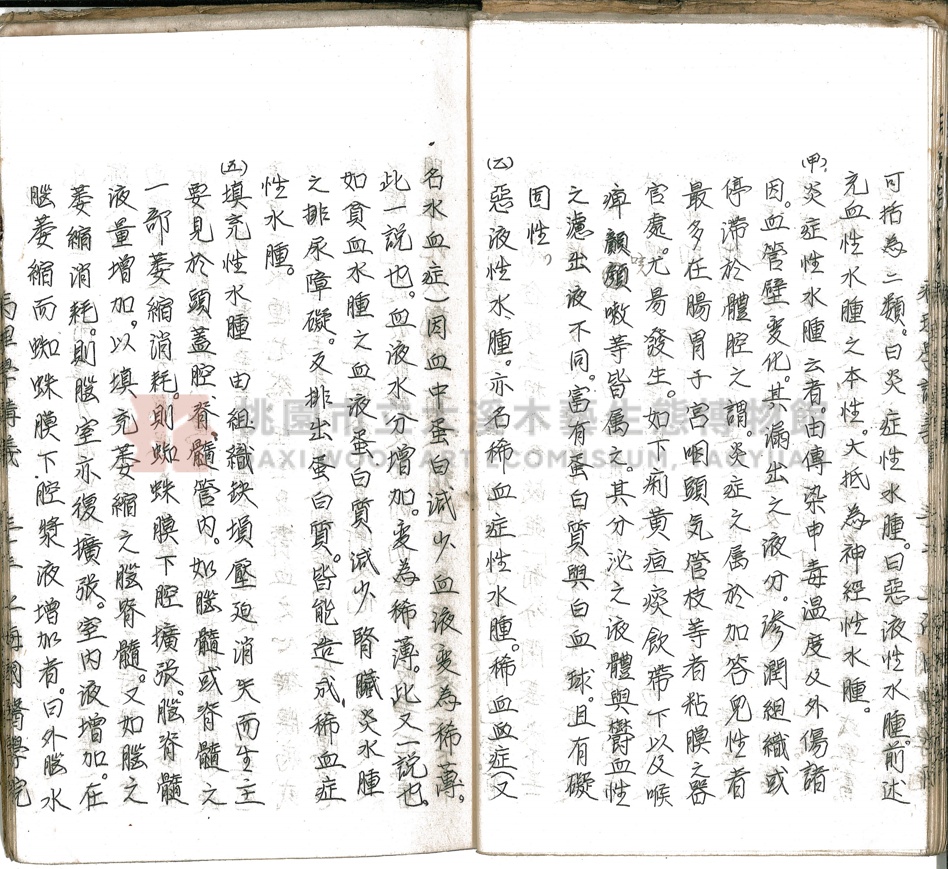 林長春抄寫《病理學講義》主題的圖片縮圖第38張