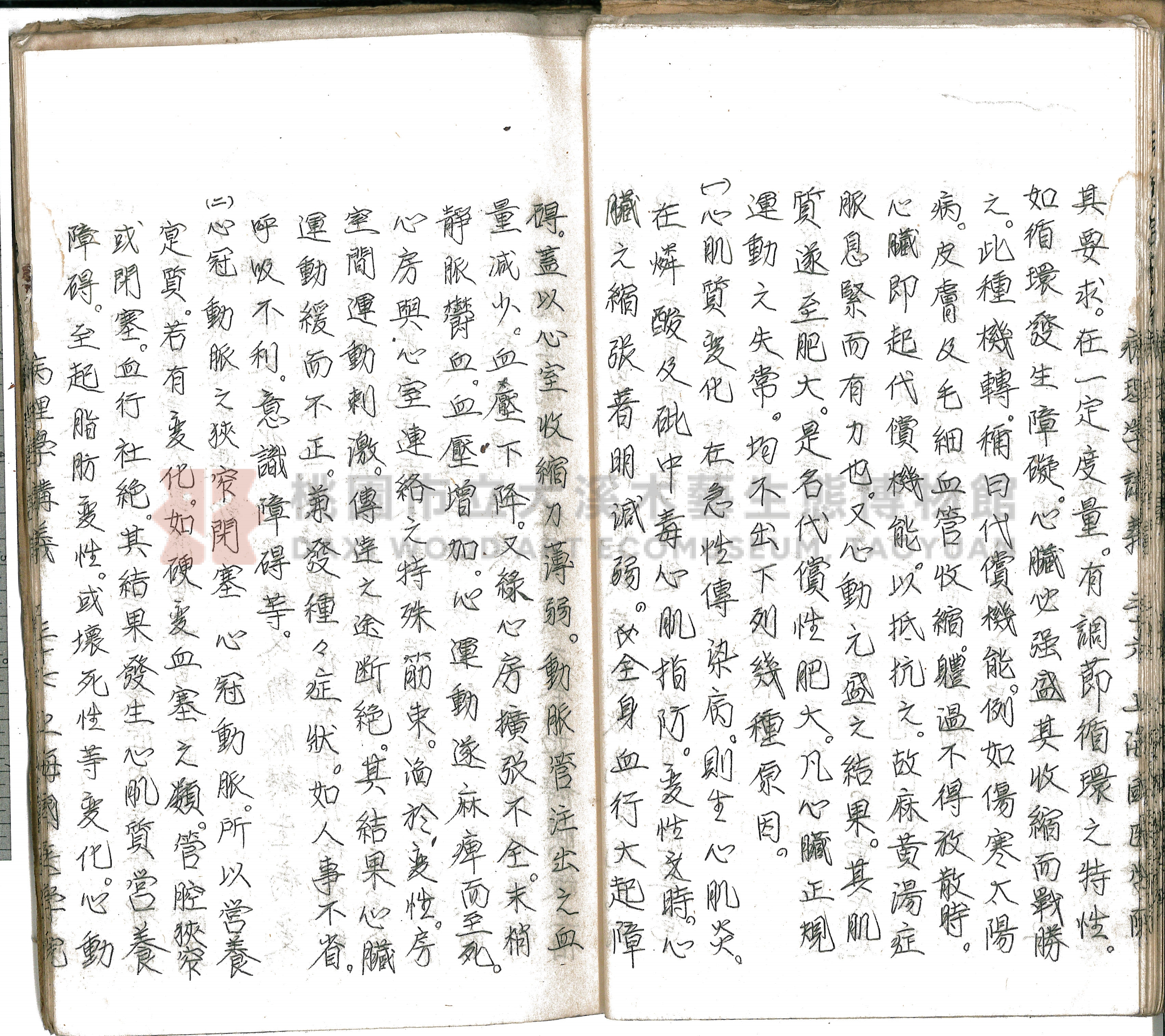 林長春抄寫《病理學講義》主題的圖片縮圖第42張