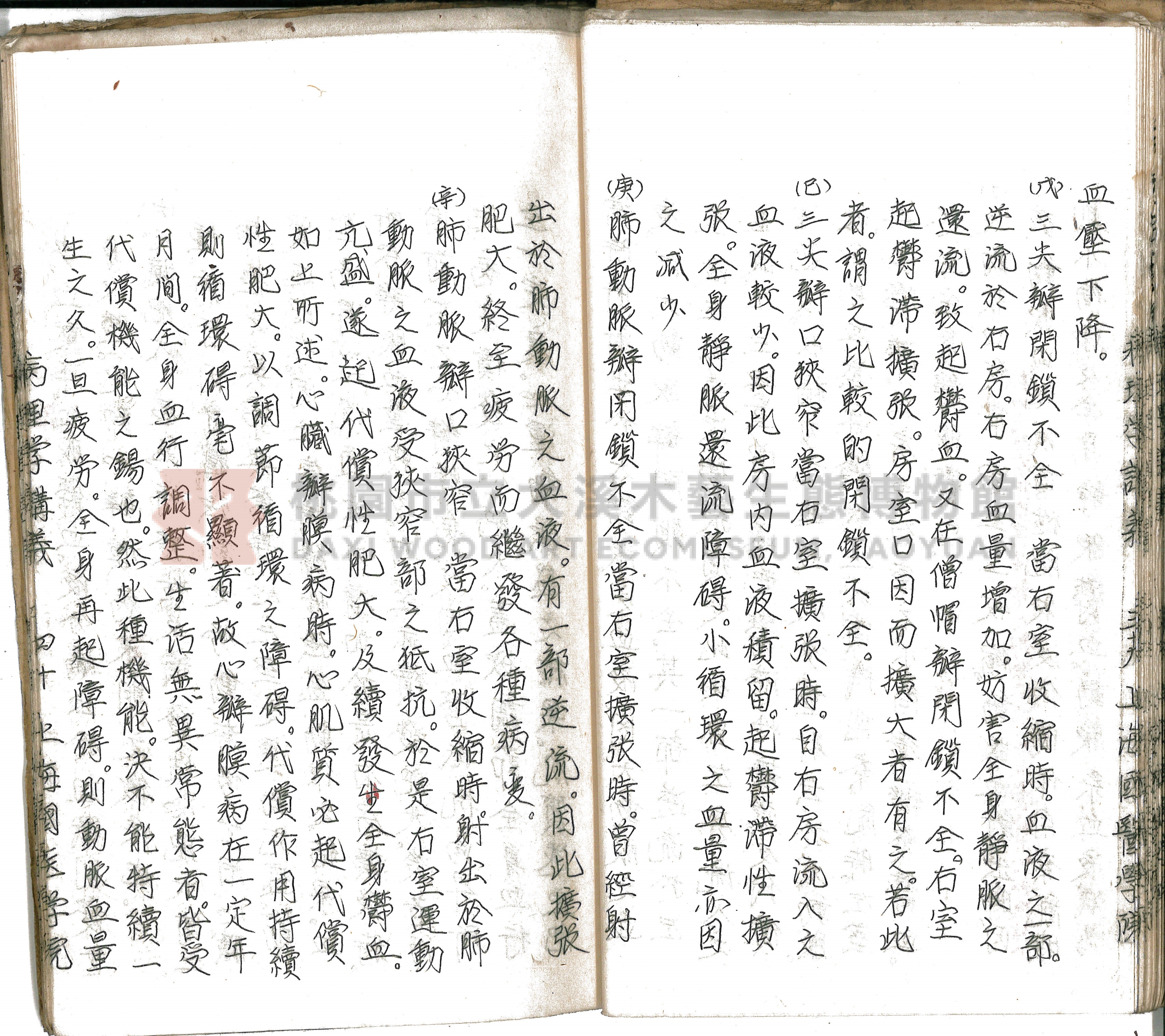 林長春抄寫《病理學講義》主題的圖片縮圖第45張