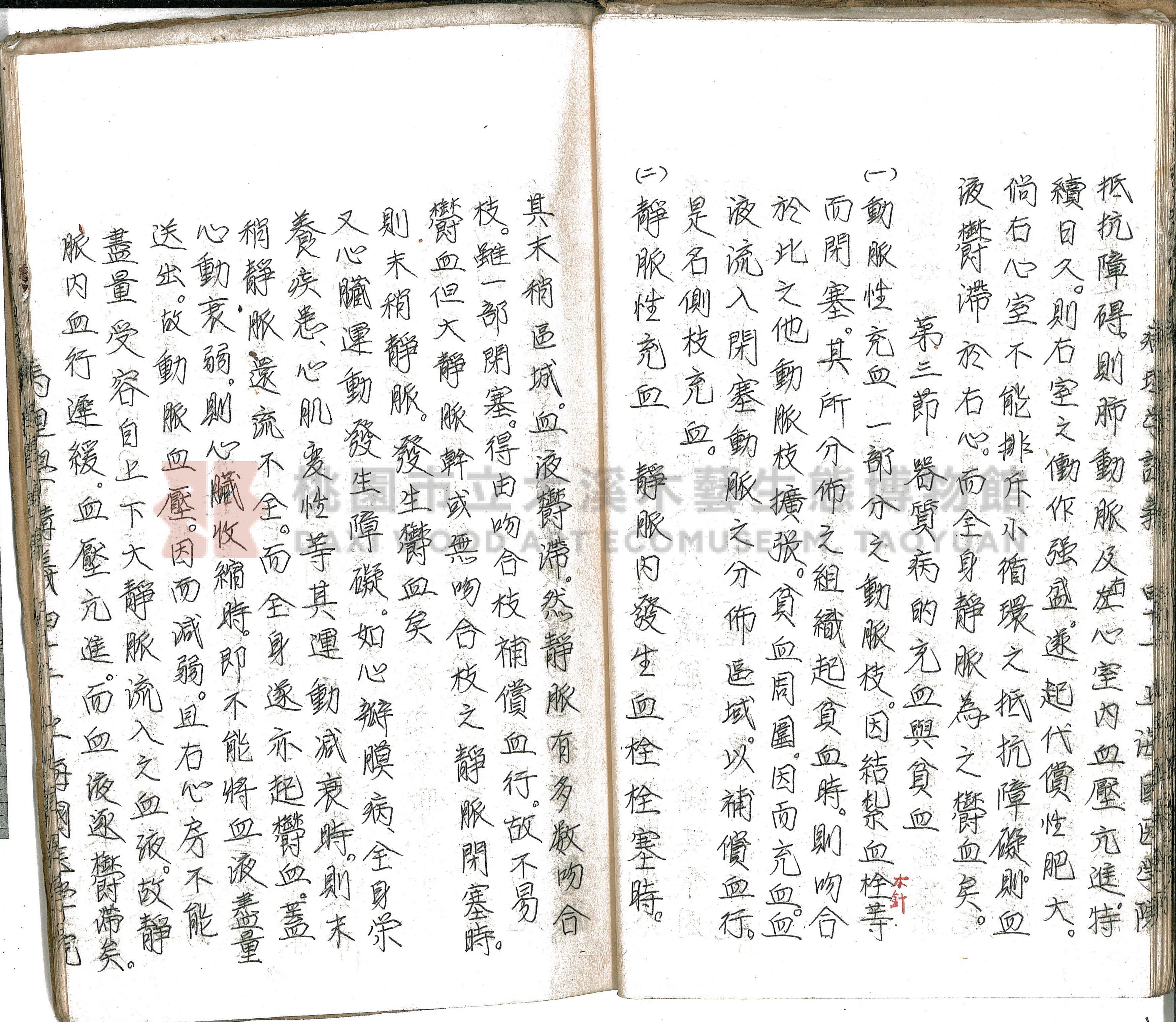 林長春抄寫《病理學講義》主題的圖片縮圖第47張