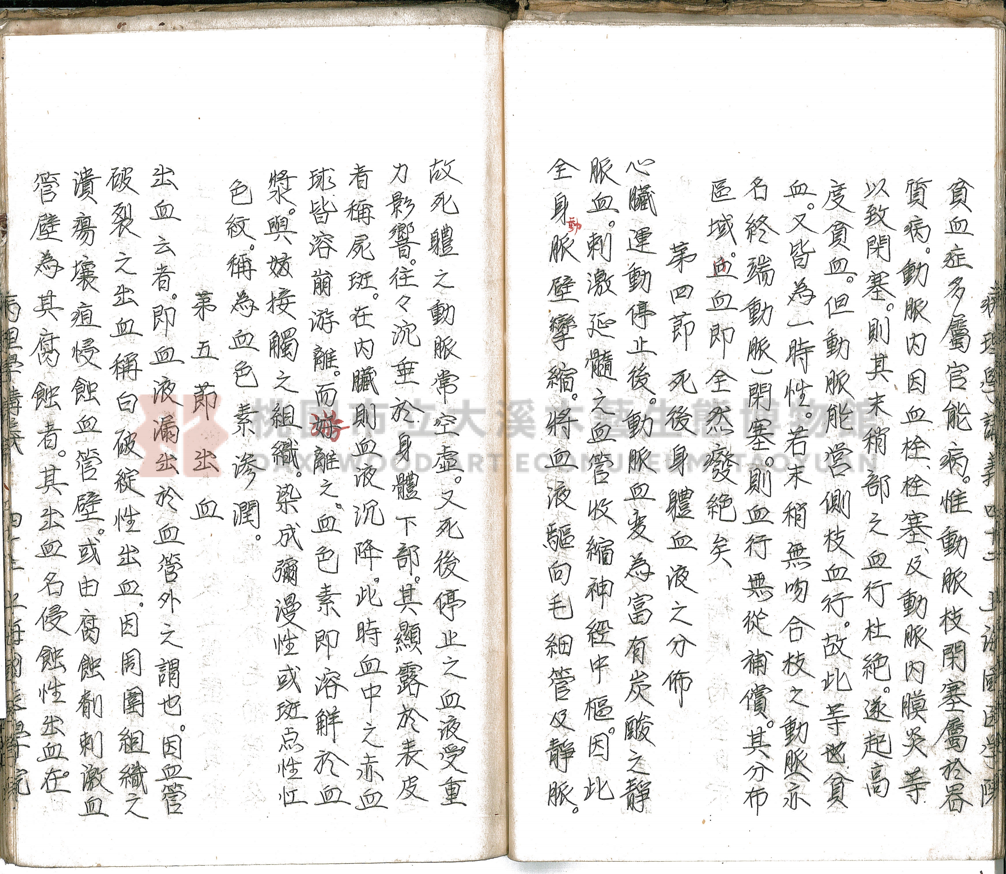 林長春抄寫《病理學講義》主題的圖片縮圖第48張