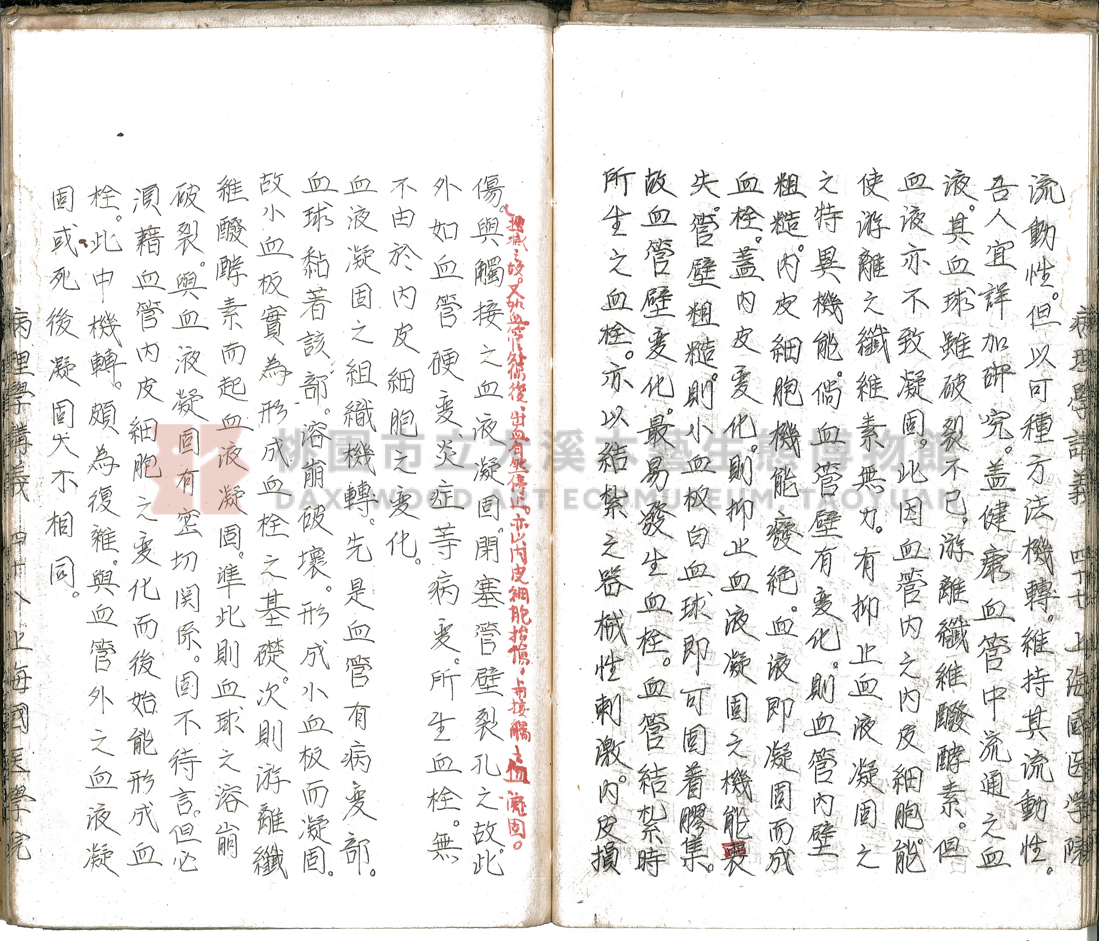林長春抄寫《病理學講義》主題的圖片縮圖第53張