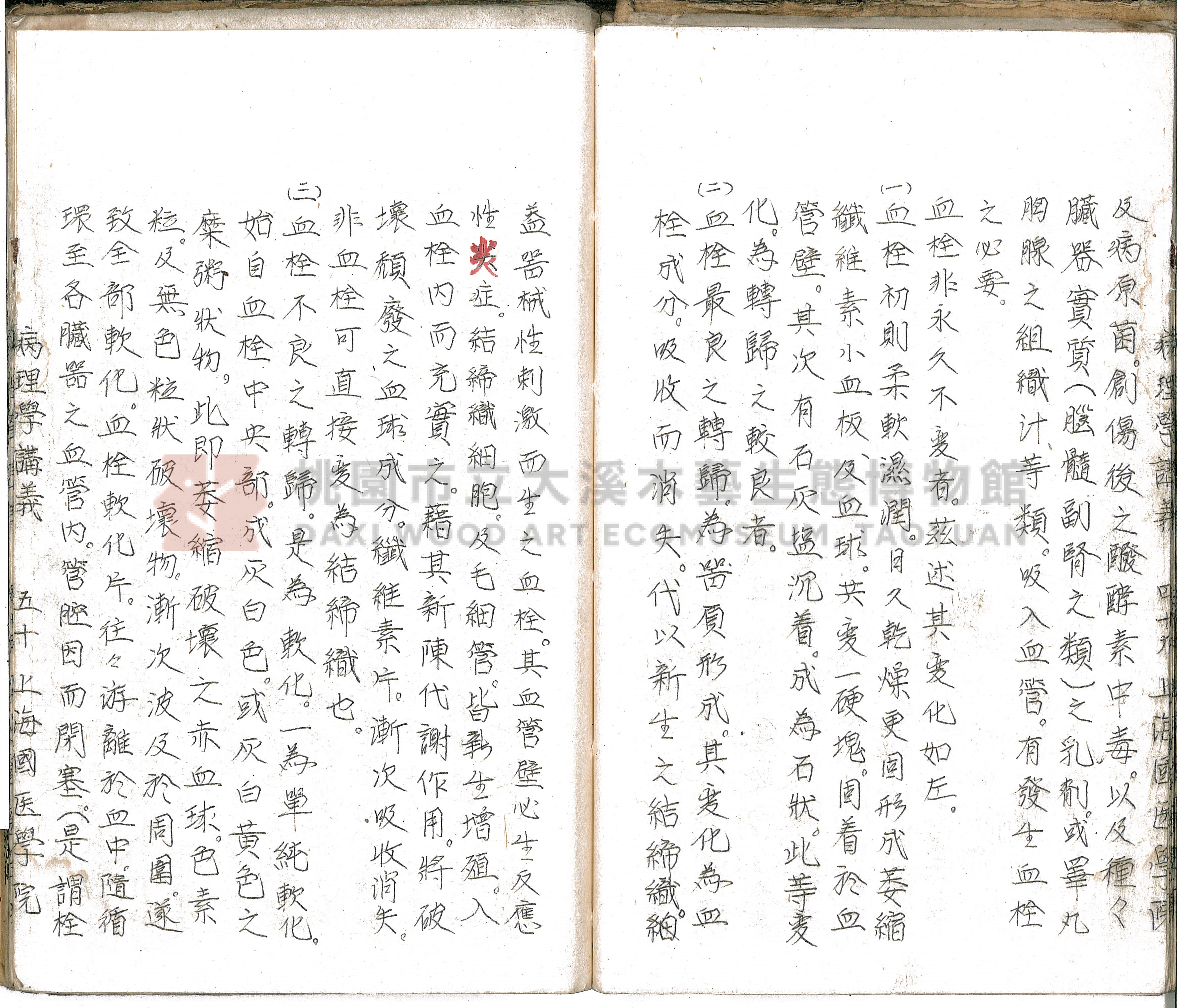 林長春抄寫《病理學講義》主題的圖片縮圖第55張