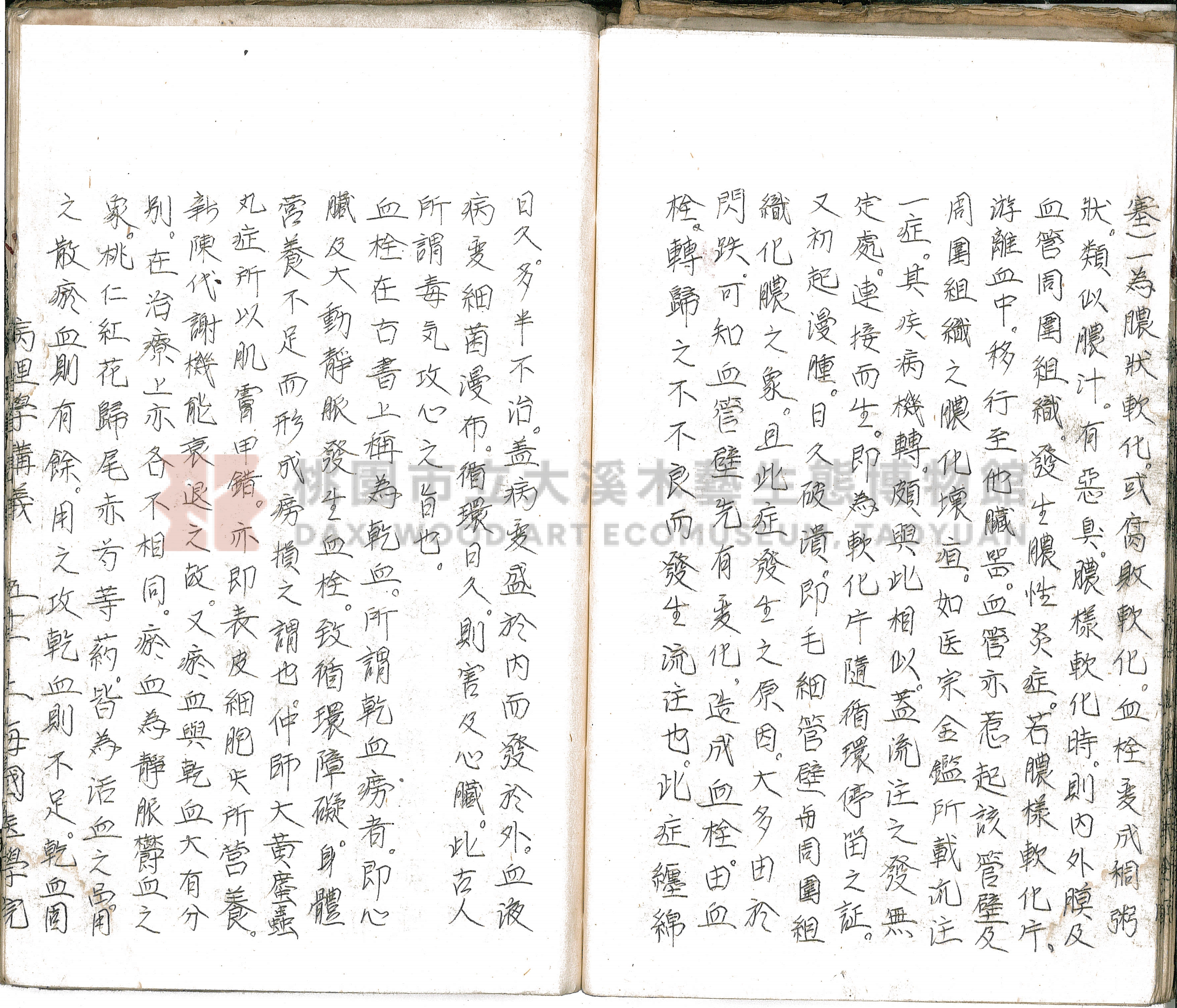 林長春抄寫《病理學講義》主題的圖片縮圖第56張