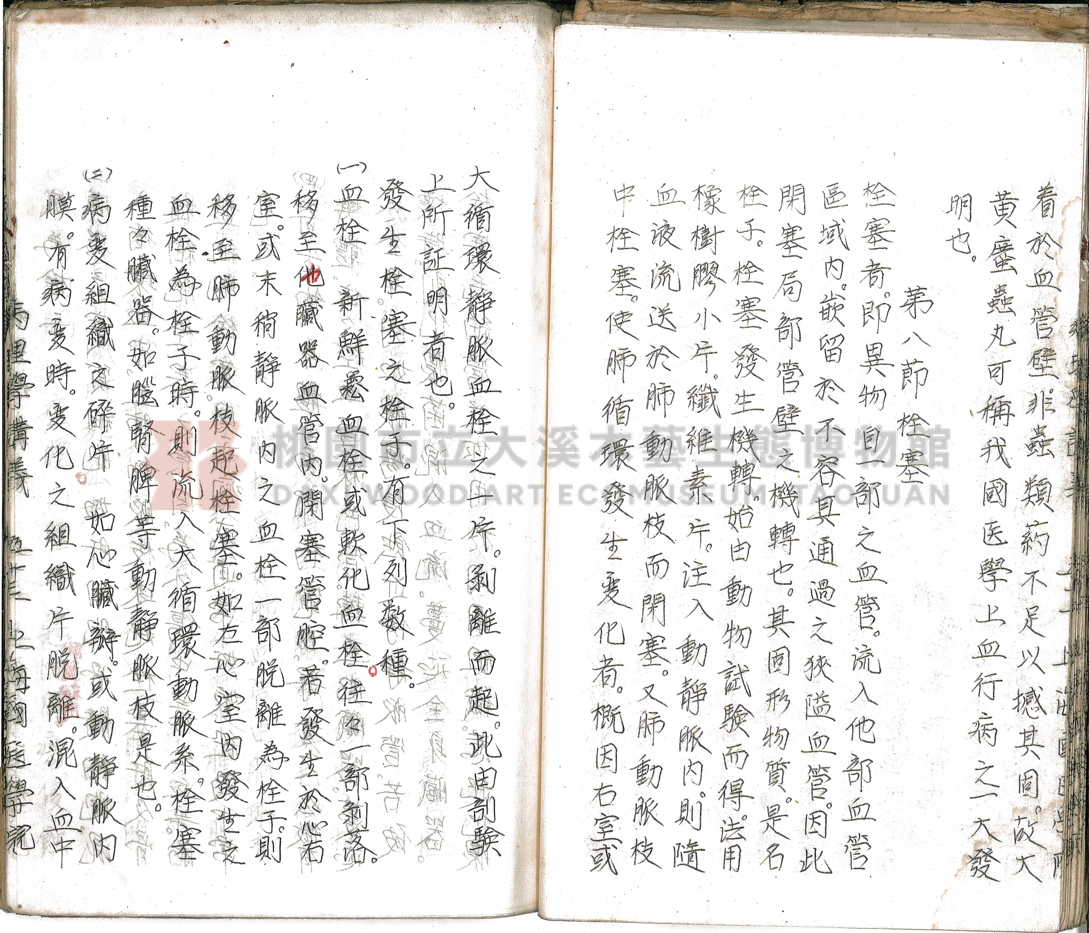 林長春抄寫《病理學講義》主題的圖片縮圖第57張