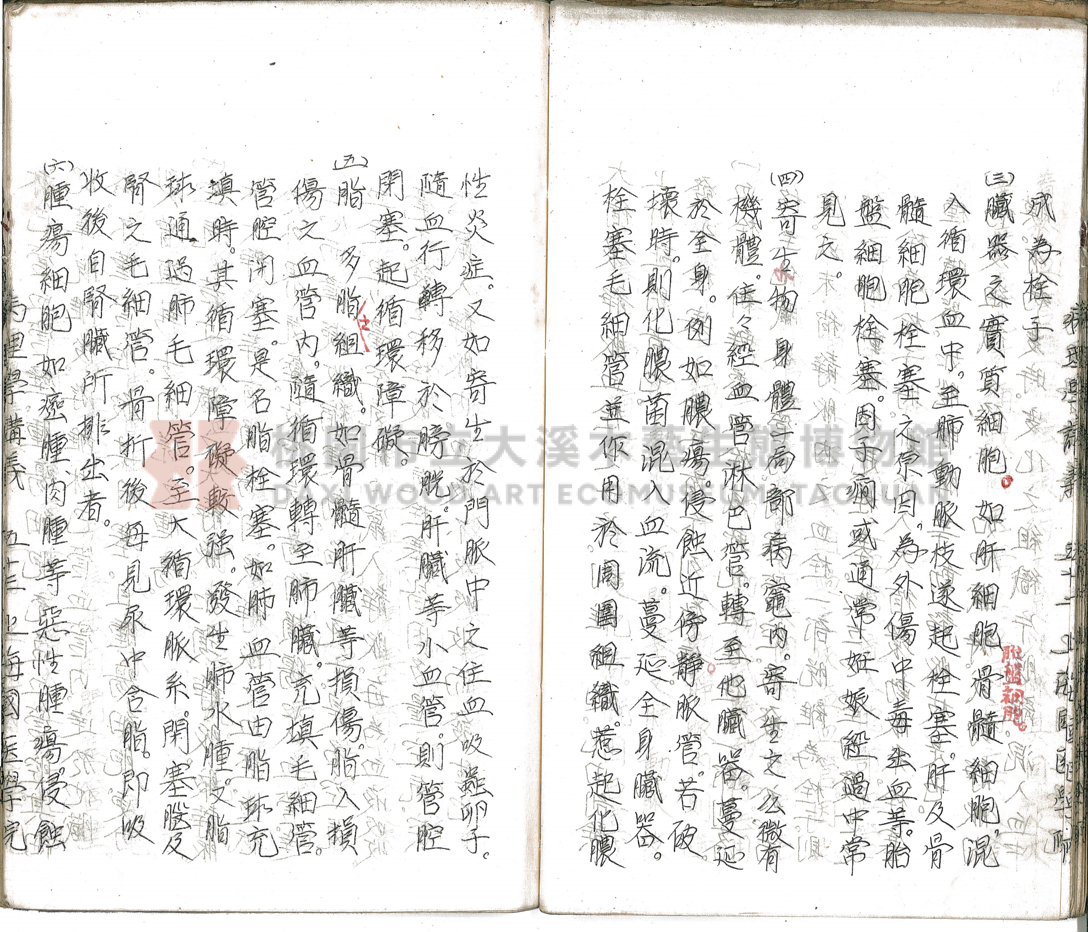 林長春抄寫《病理學講義》主題的圖片縮圖第58張