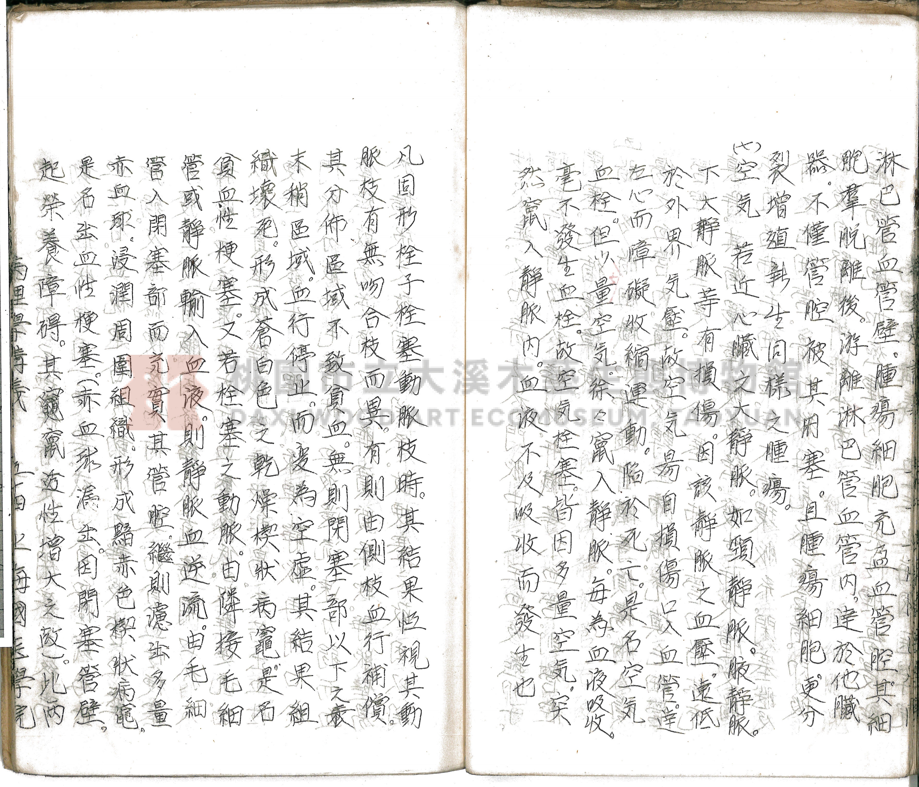 林長春抄寫《病理學講義》主題的圖片縮圖第59張