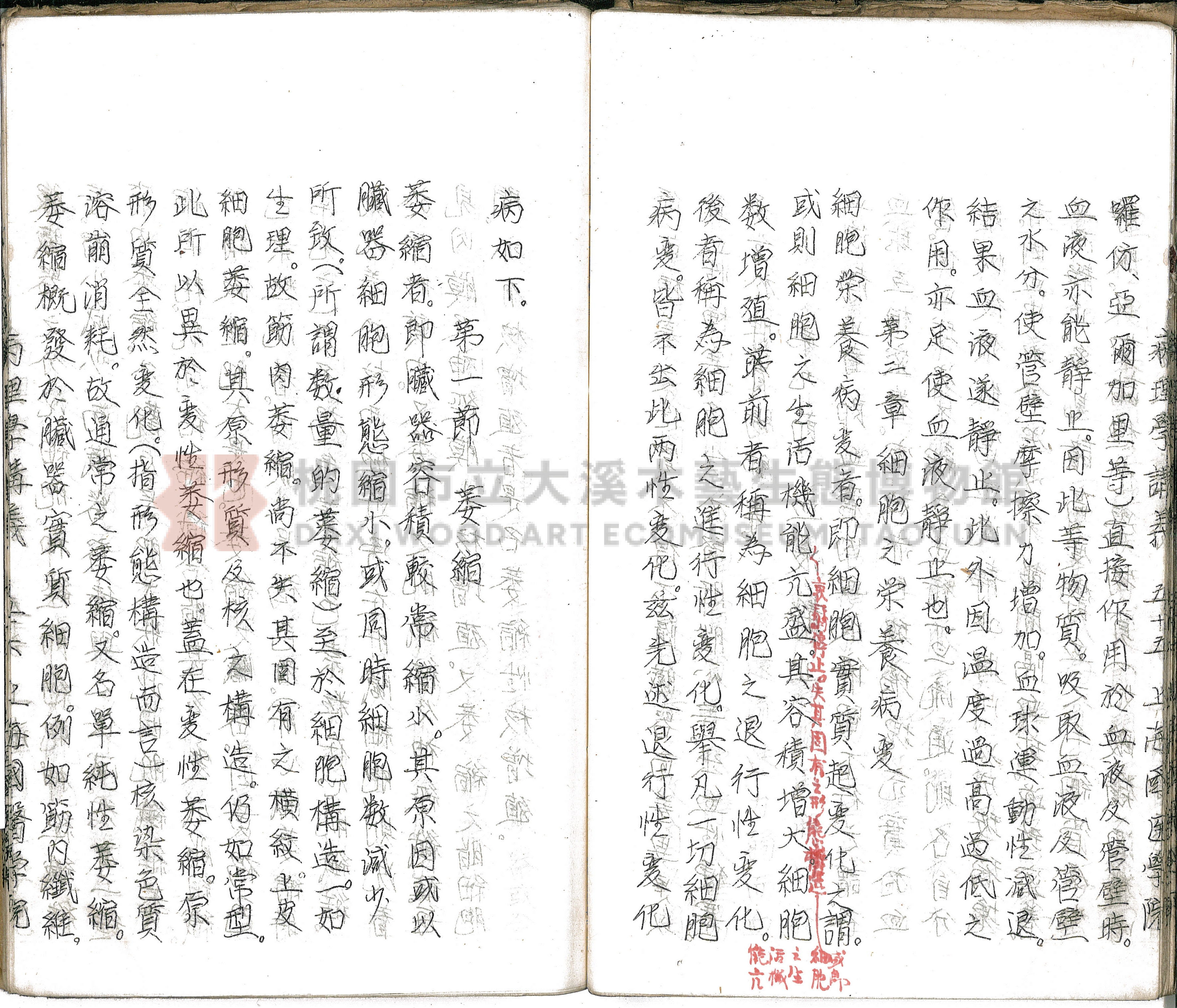 林長春抄寫《病理學講義》主題的圖片縮圖第61張