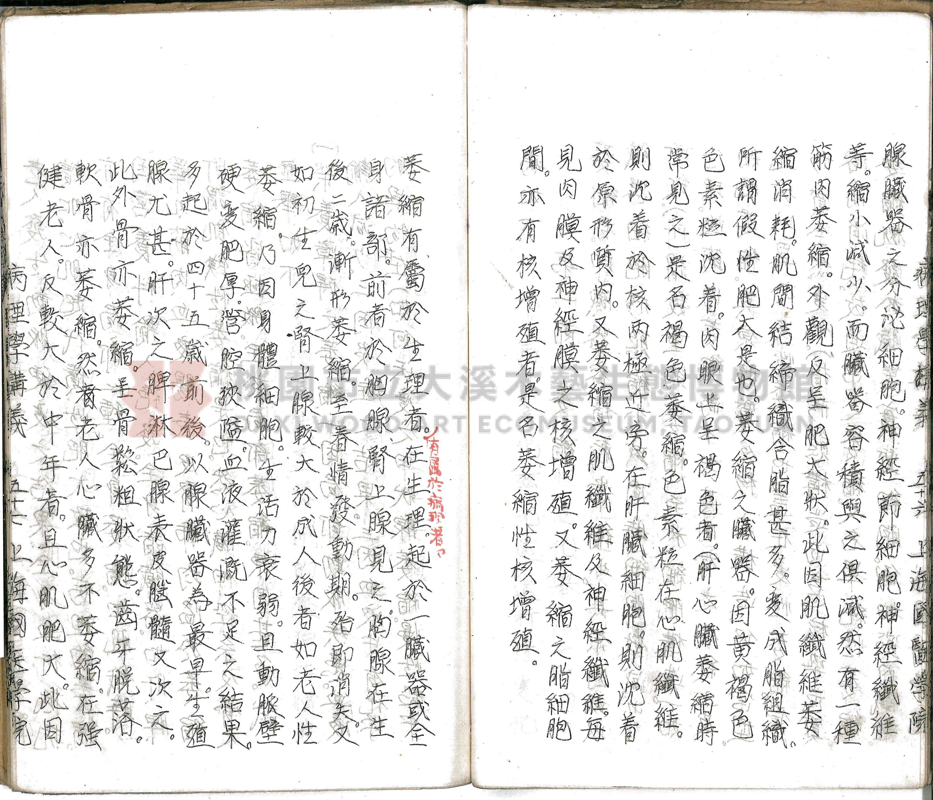 林長春抄寫《病理學講義》主題的圖片縮圖第62張