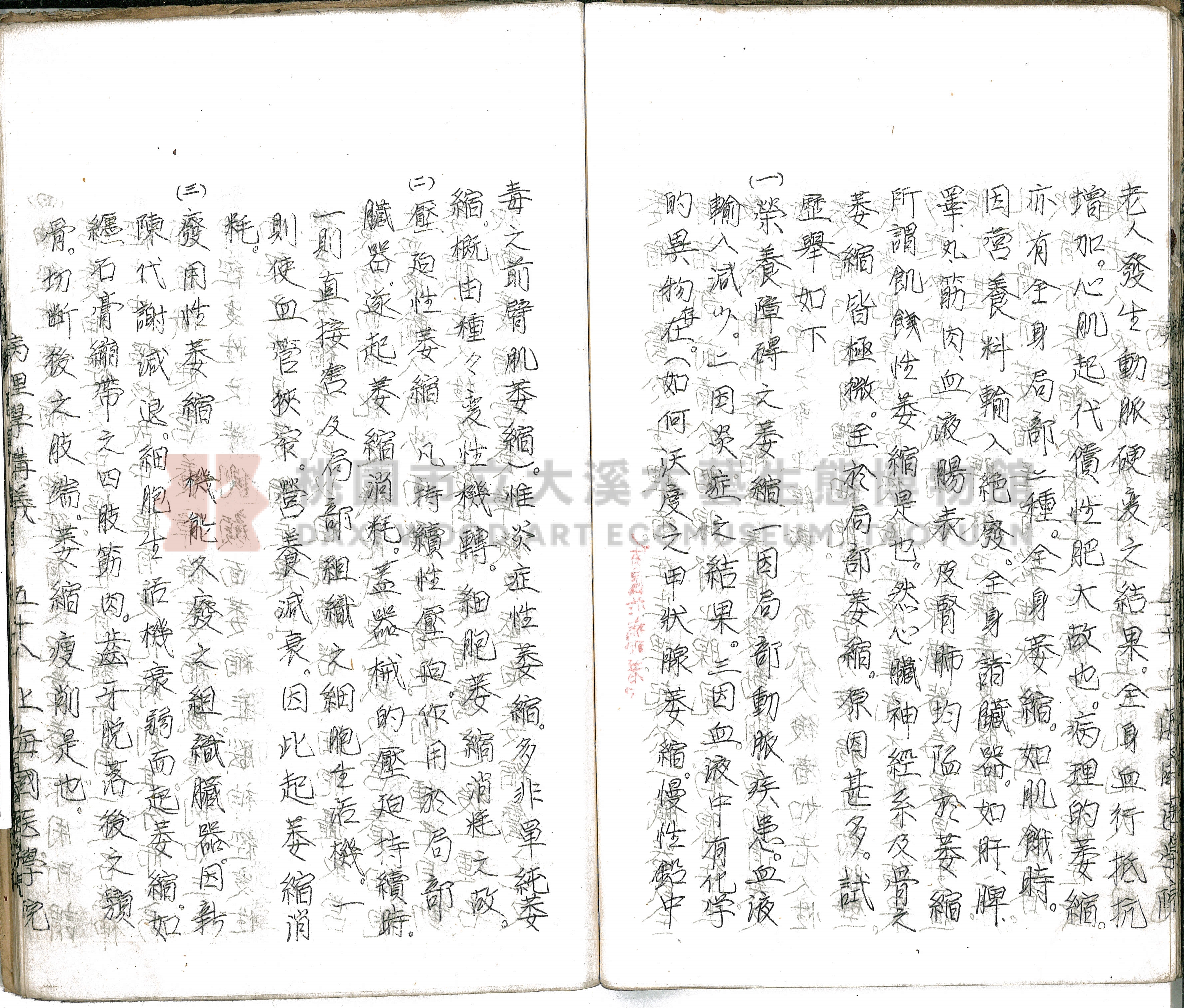 林長春抄寫《病理學講義》主題的圖片縮圖第63張