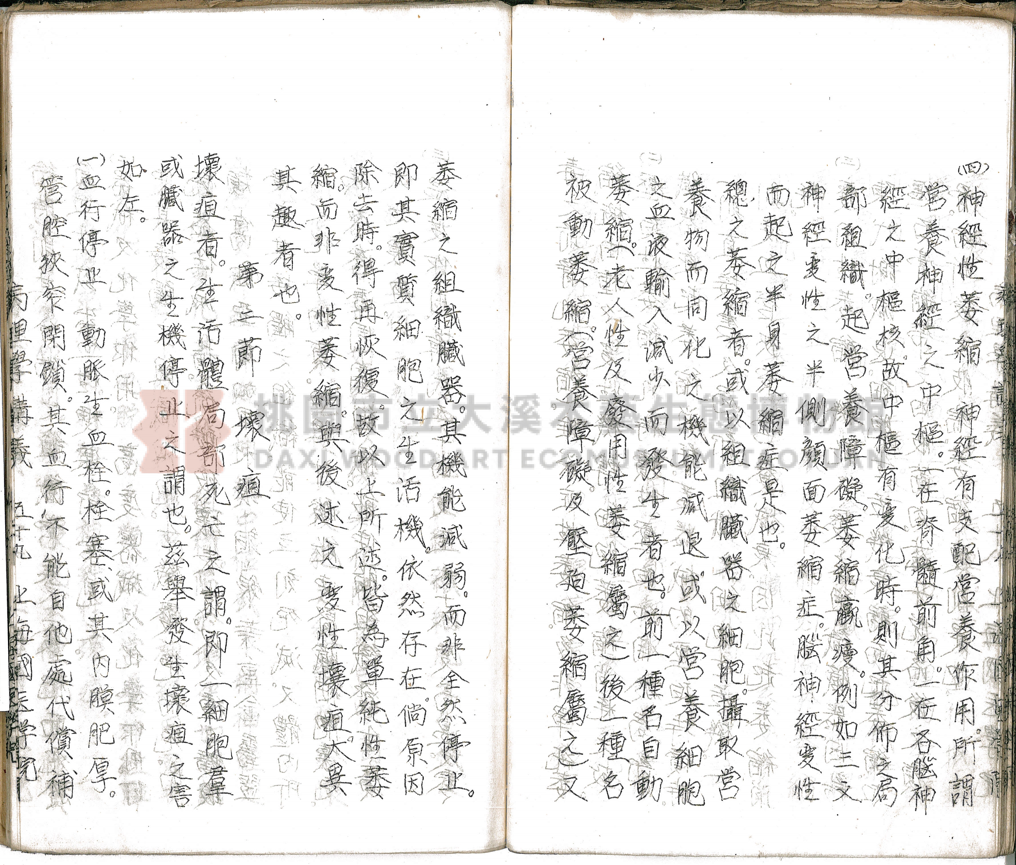 林長春抄寫《病理學講義》主題的圖片縮圖第64張