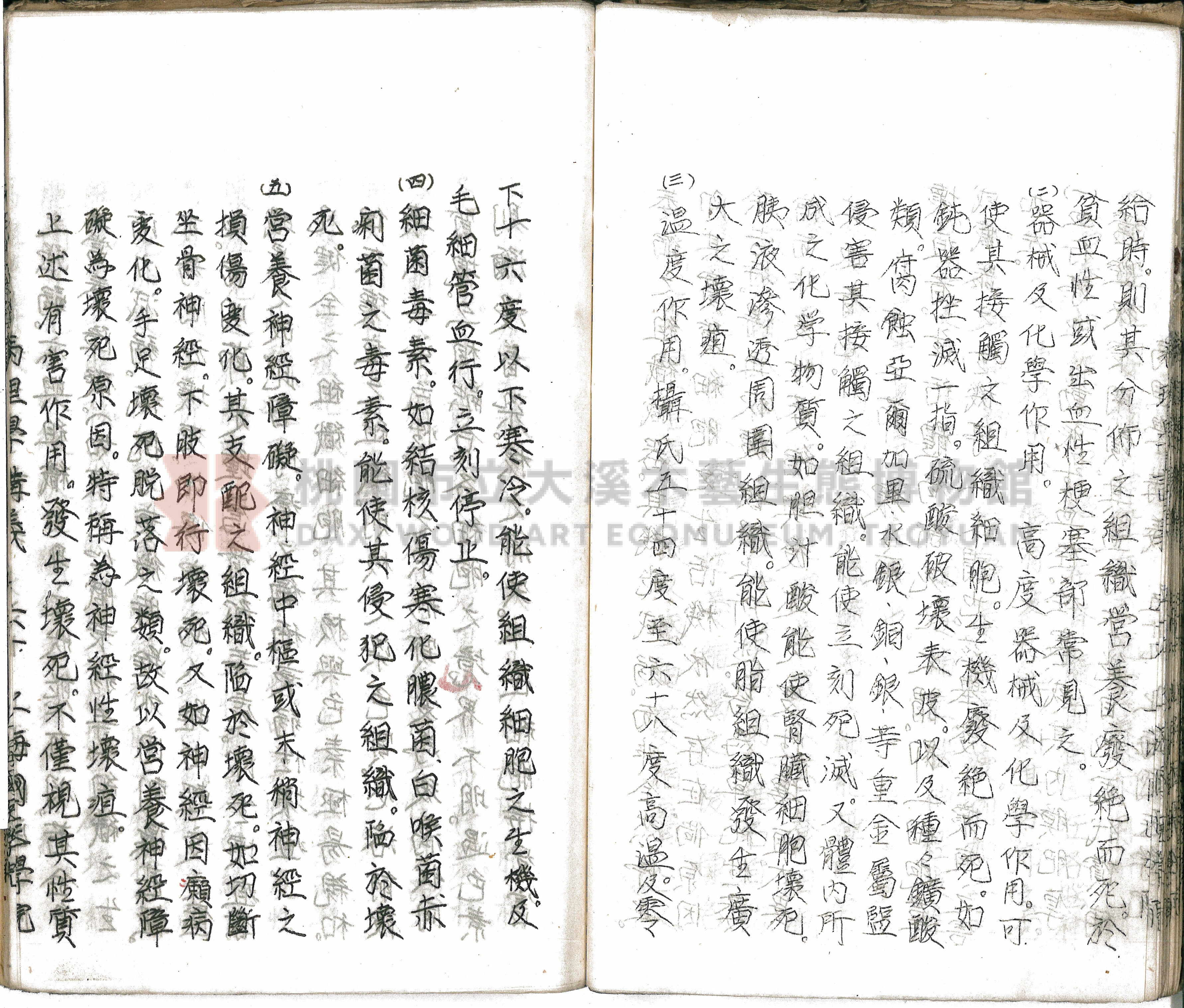 林長春抄寫《病理學講義》主題的圖片縮圖第65張