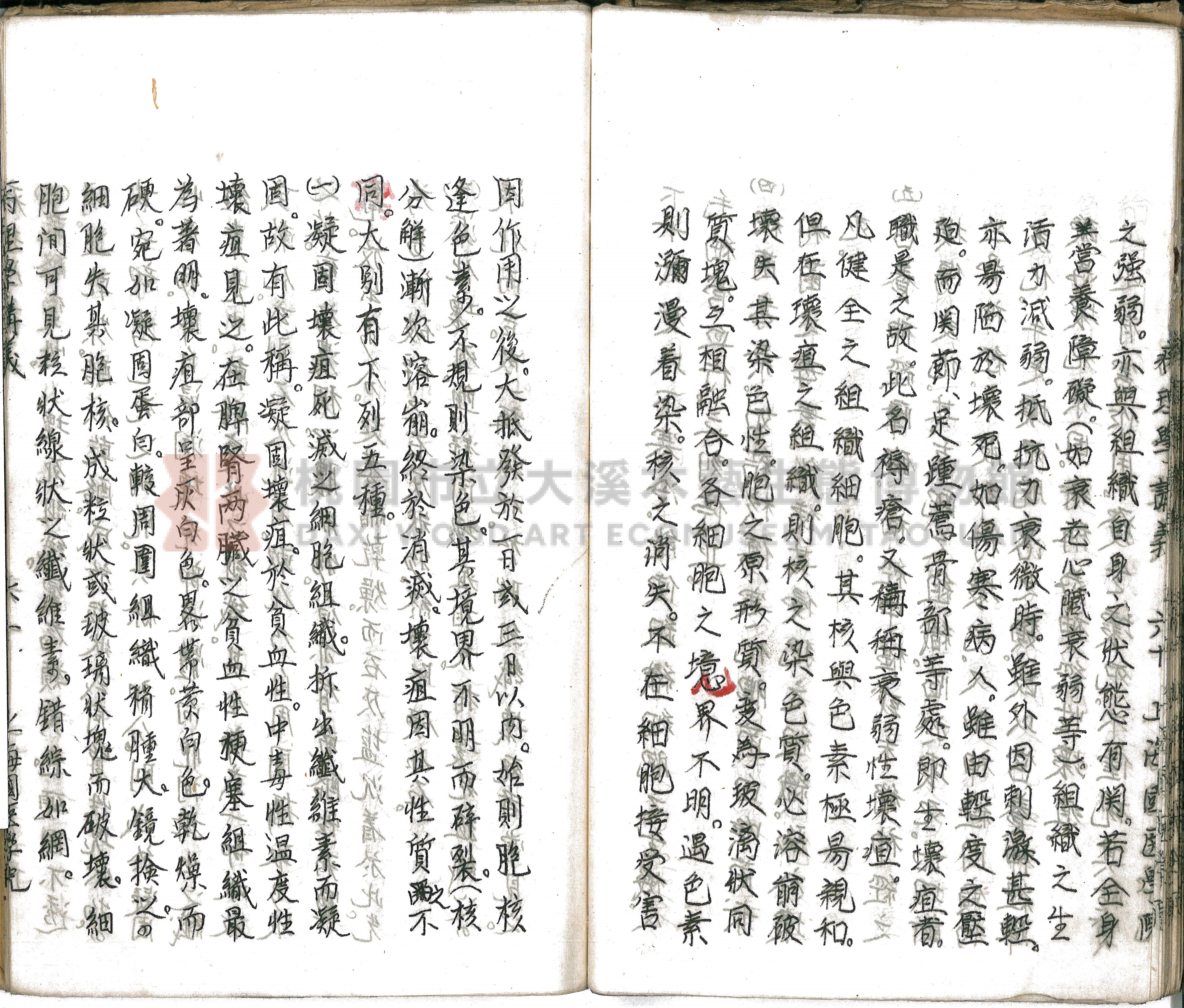 林長春抄寫《病理學講義》主題的圖片縮圖第66張
