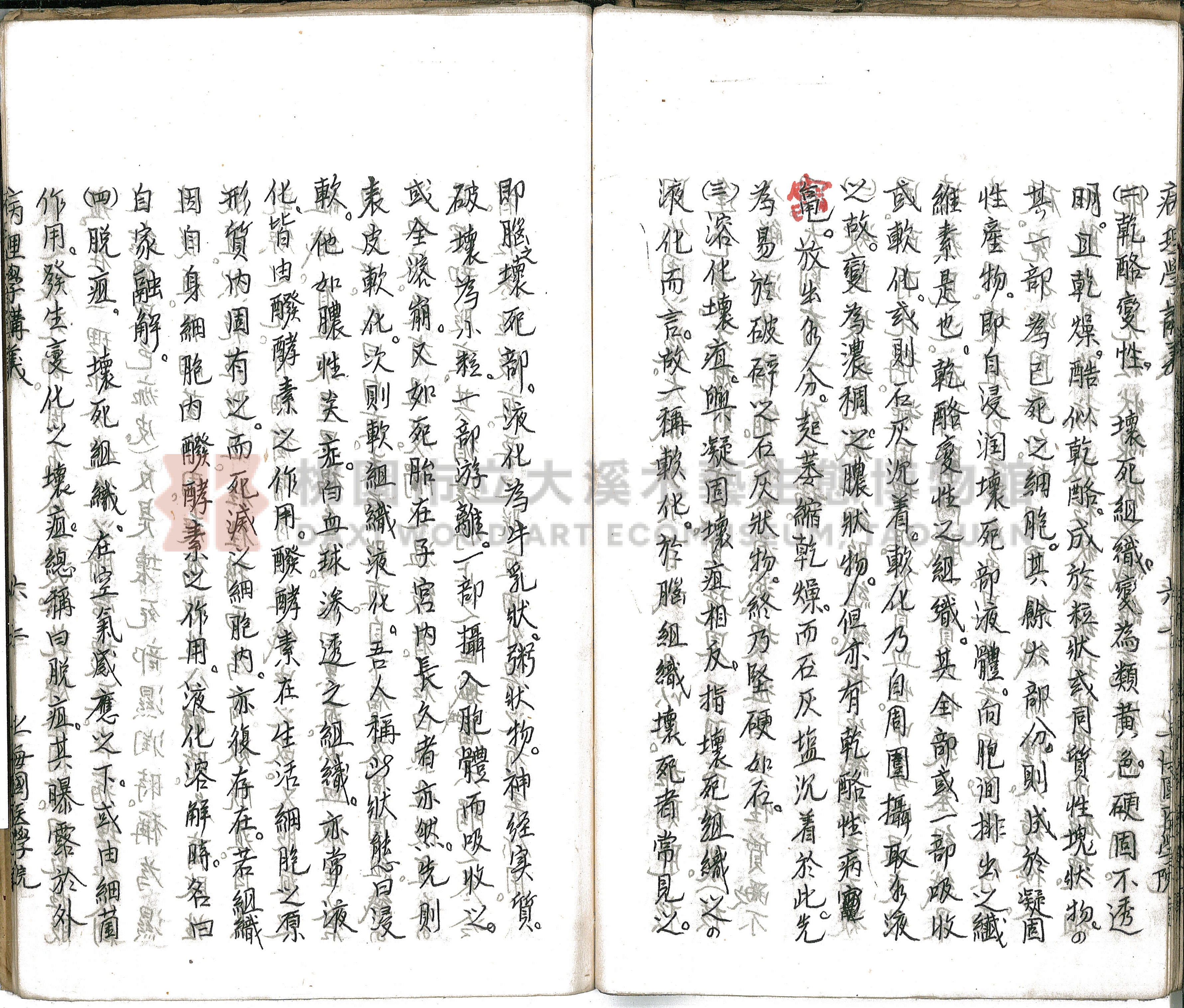林長春抄寫《病理學講義》主題的圖片縮圖第67張
