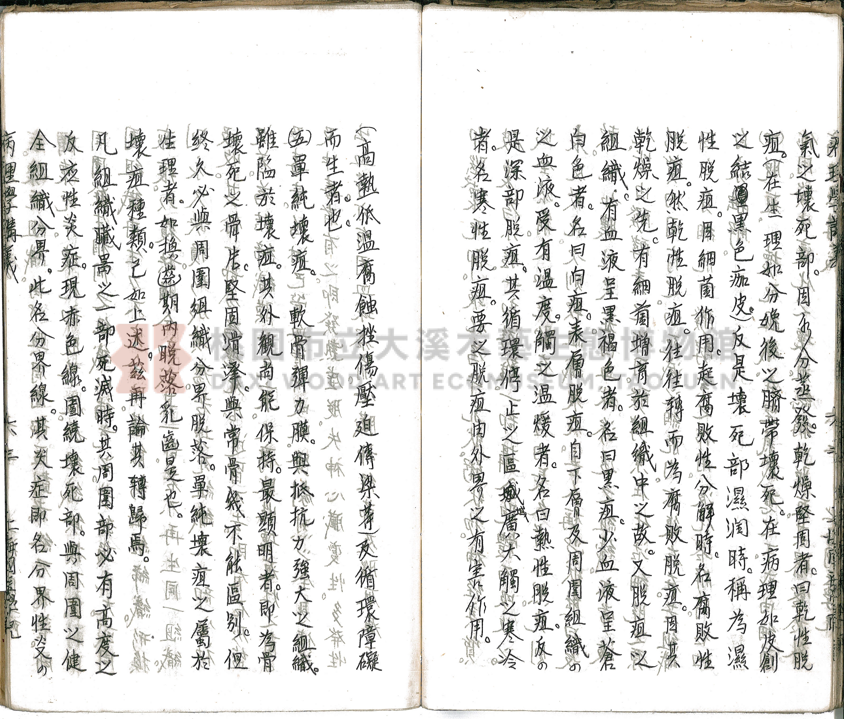 林長春抄寫《病理學講義》主題的圖片縮圖第68張