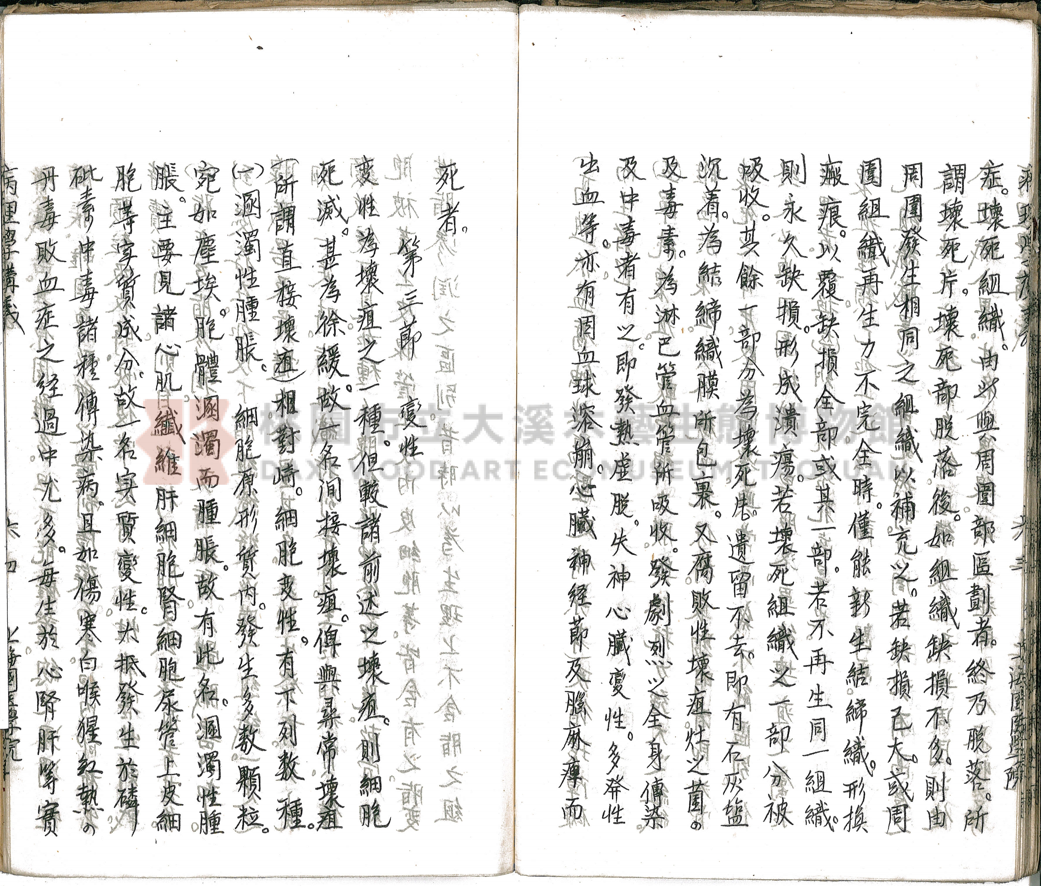 林長春抄寫《病理學講義》主題的圖片縮圖第69張