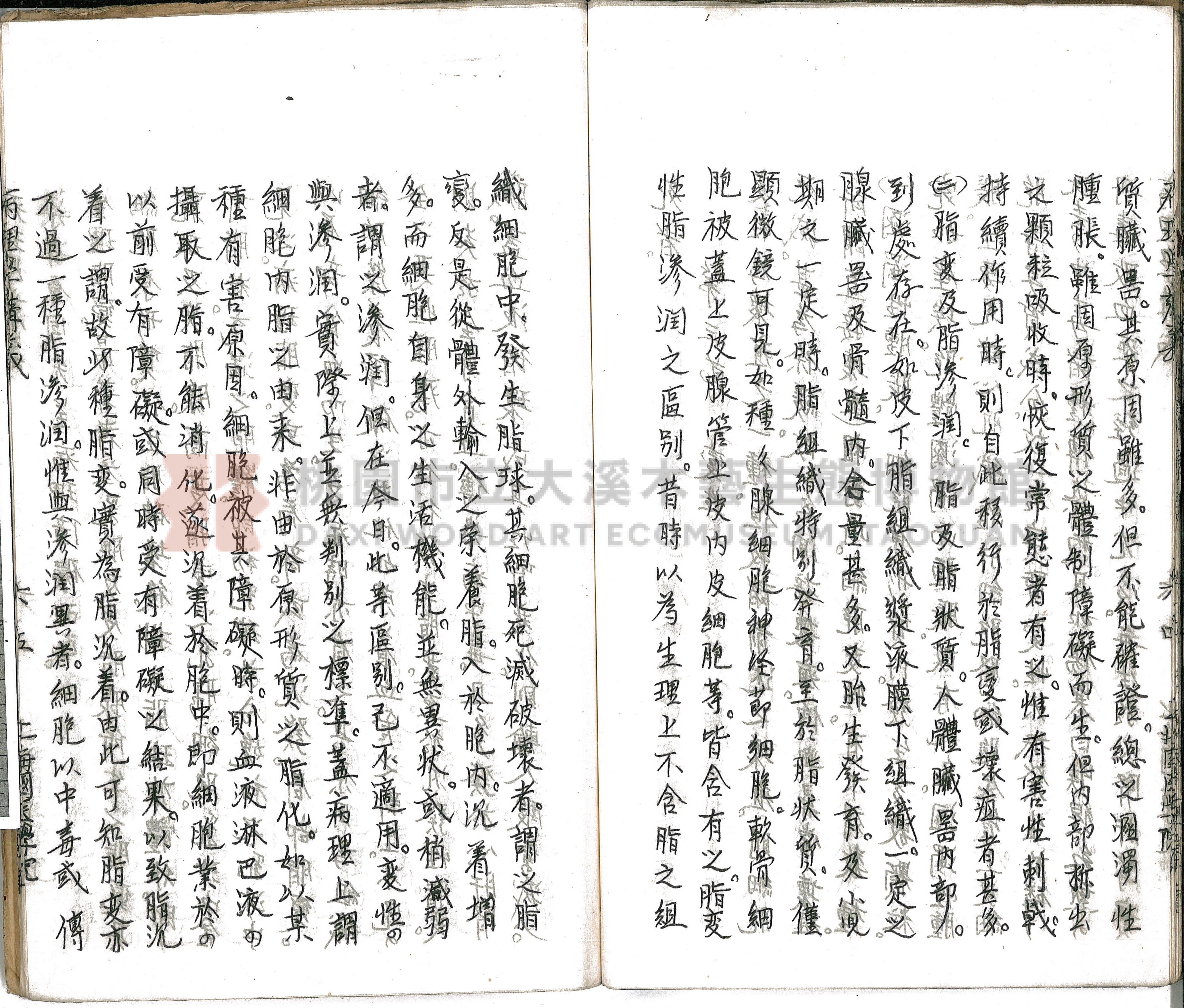 林長春抄寫《病理學講義》主題的圖片縮圖第70張