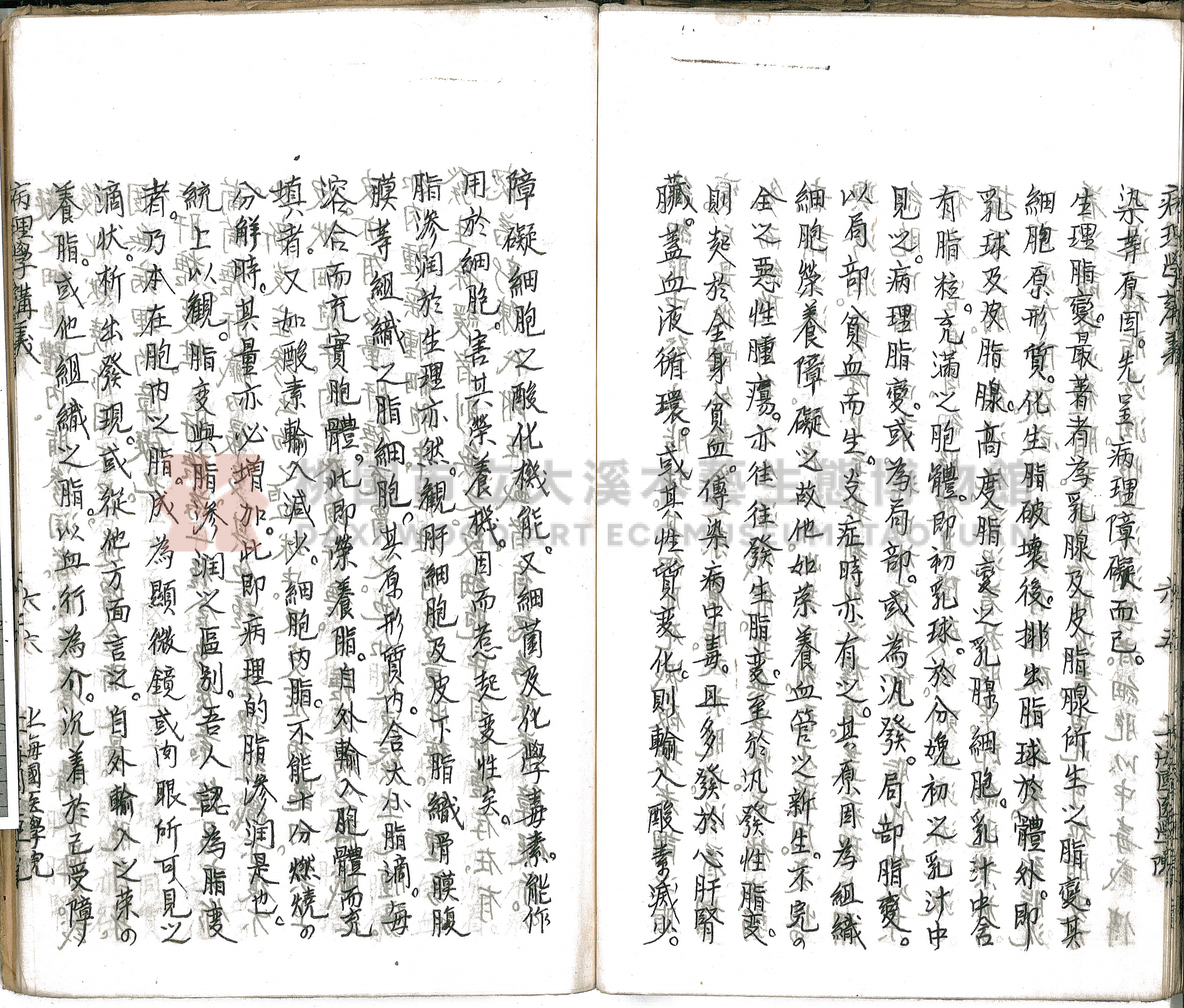 林長春抄寫《病理學講義》主題的圖片縮圖第71張