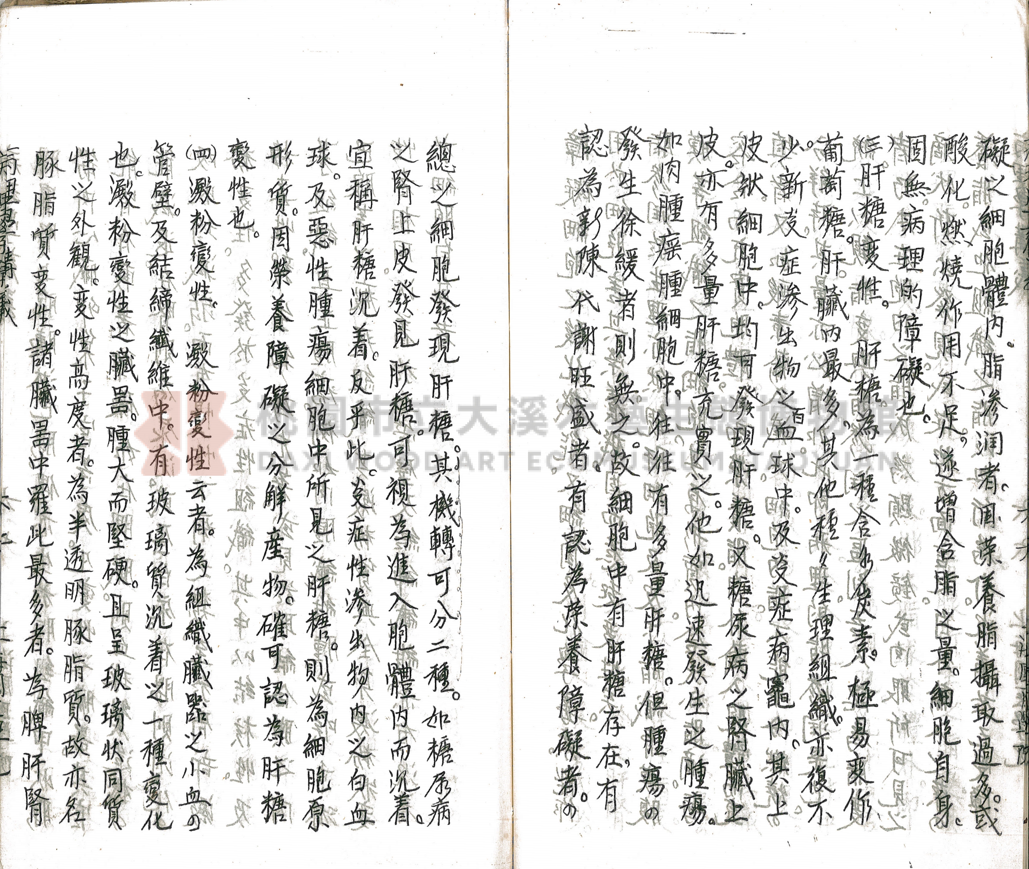 林長春抄寫《病理學講義》主題的圖片縮圖第72張