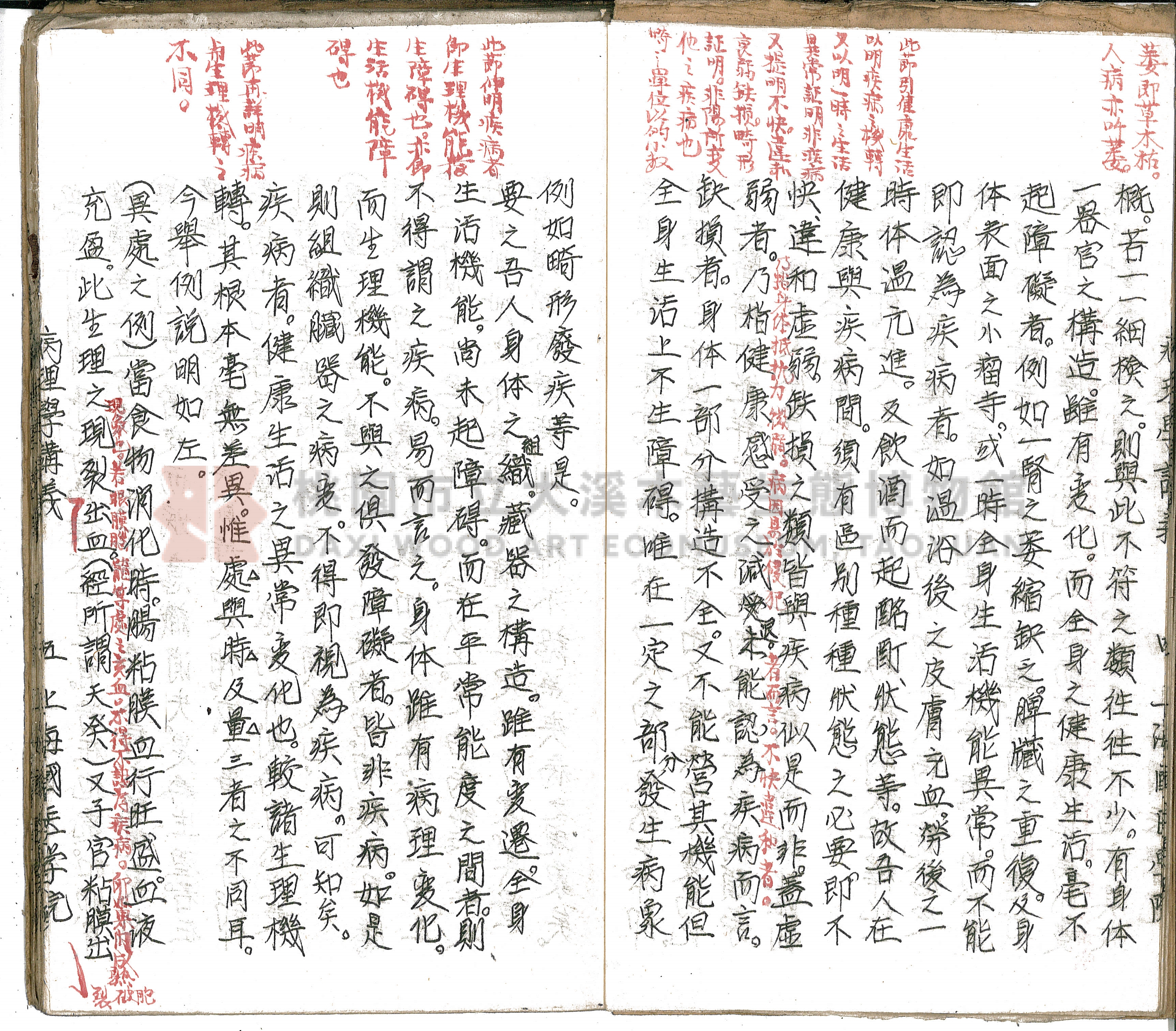 林長春抄寫《病理學講義》主題的圖片縮圖第8張