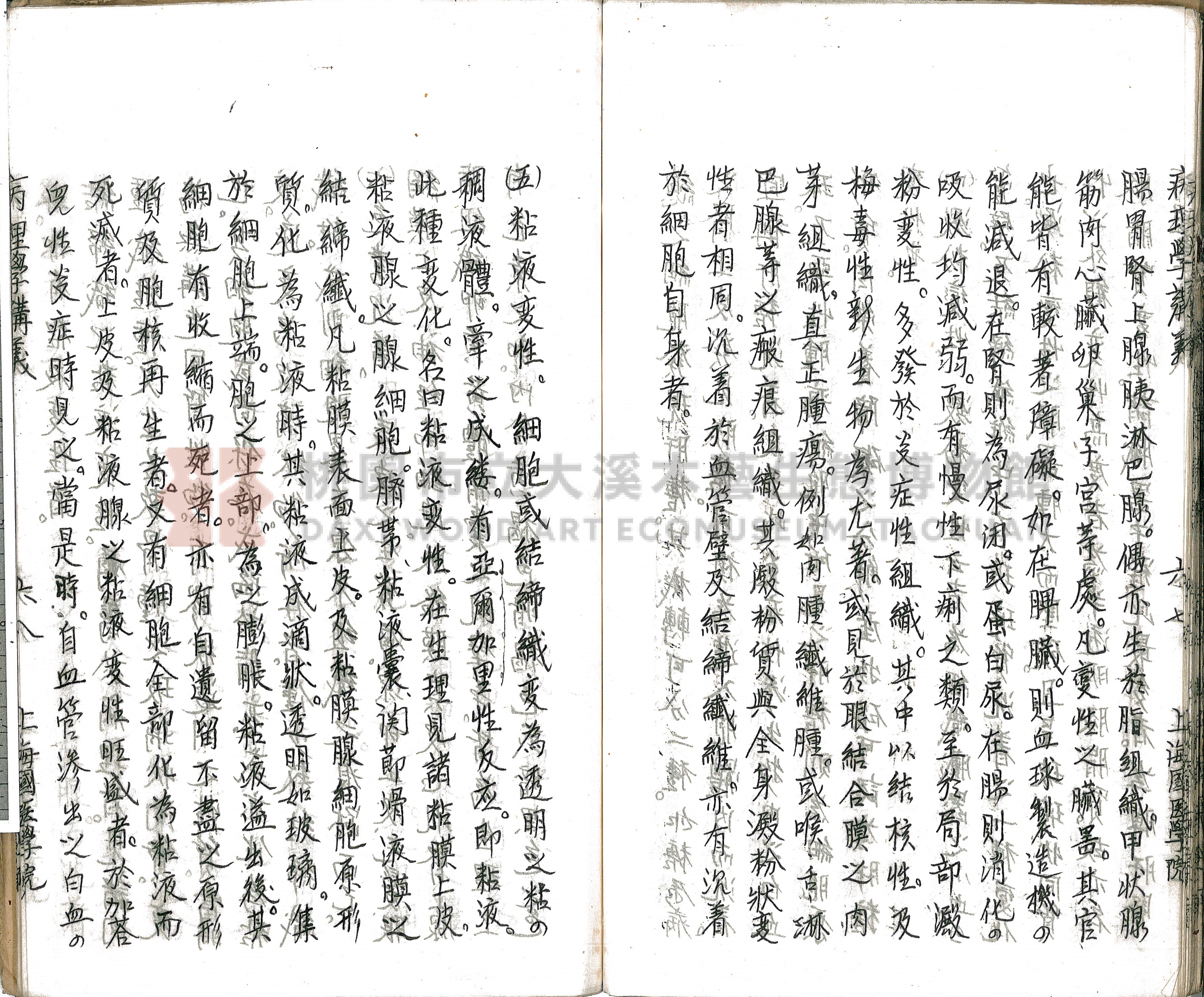 林長春抄寫《病理學講義》主題的圖片縮圖第73張