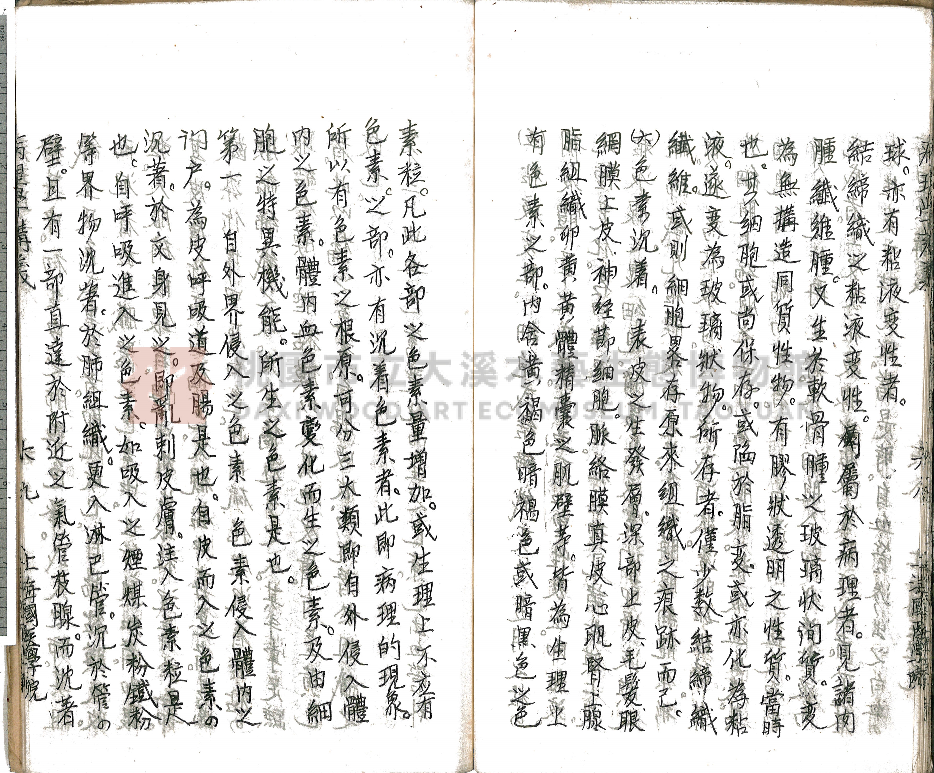 林長春抄寫《病理學講義》主題的圖片縮圖第74張