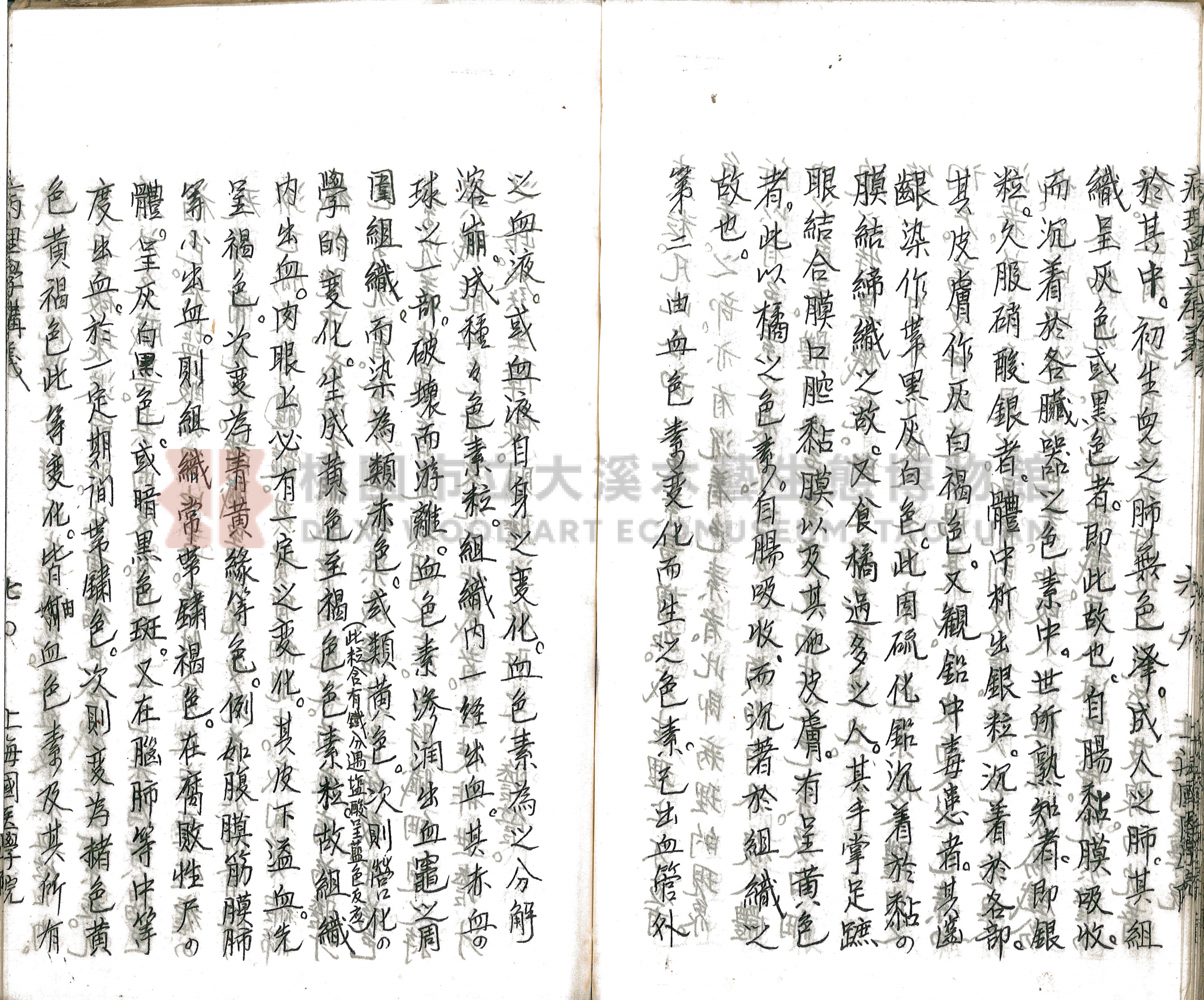 林長春抄寫《病理學講義》主題的圖片縮圖第75張