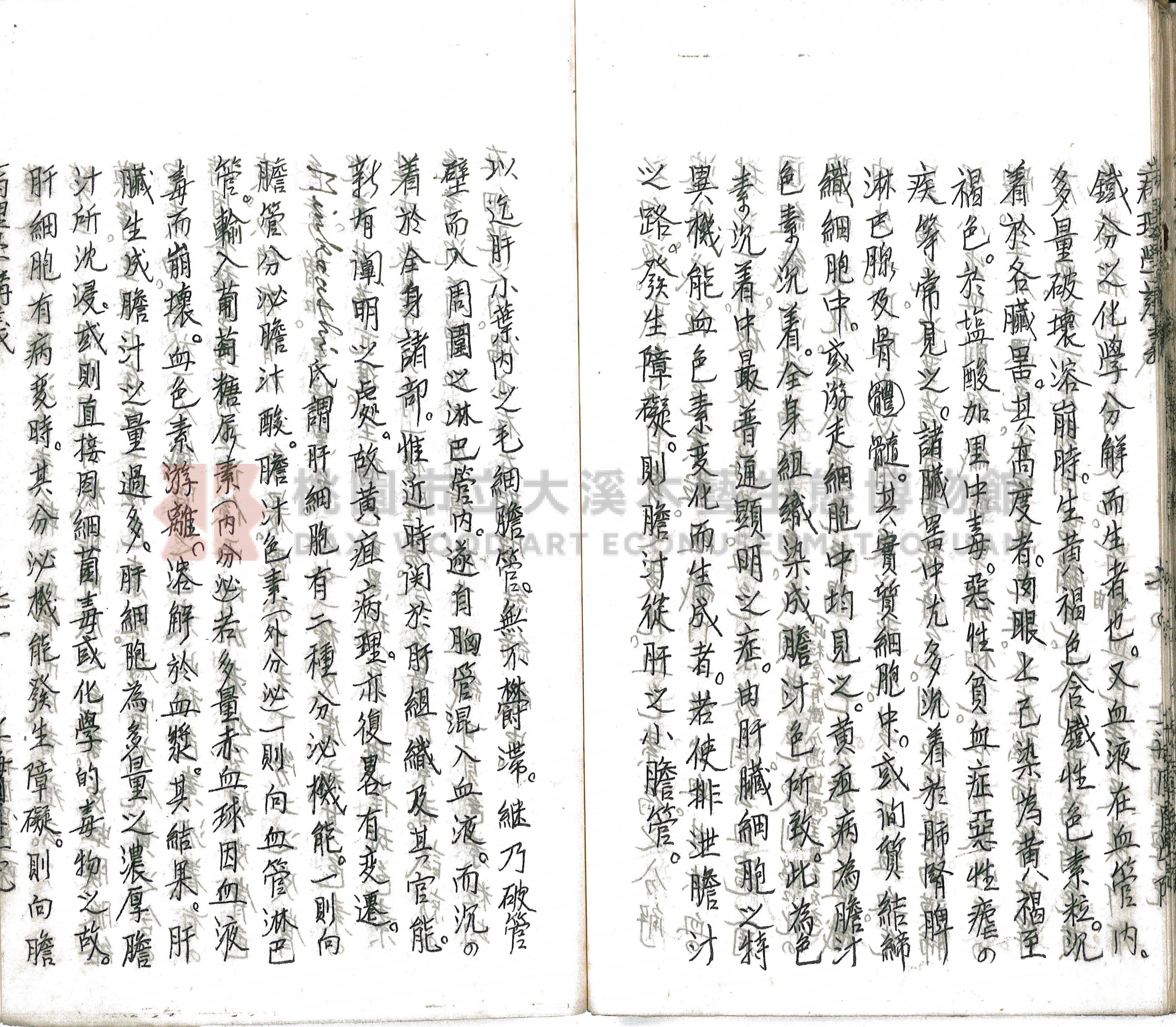 林長春抄寫《病理學講義》主題的圖片縮圖第76張