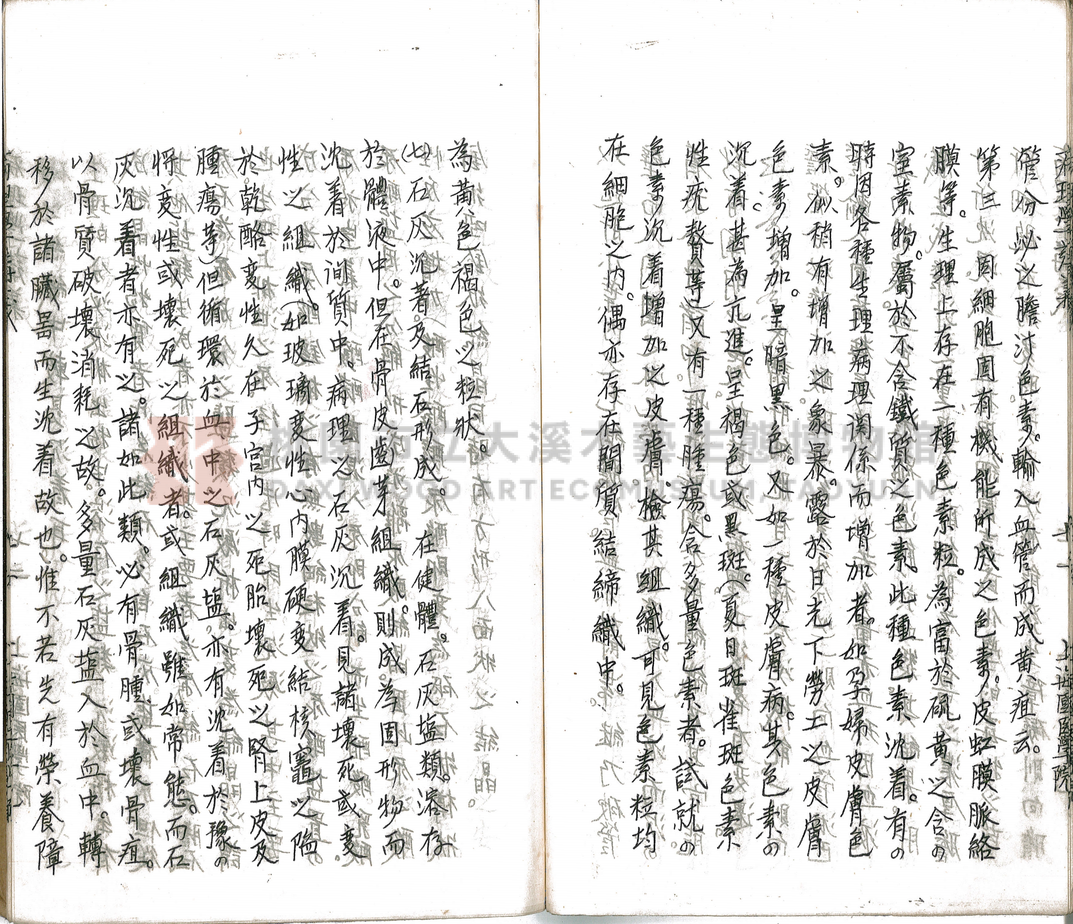 林長春抄寫《病理學講義》主題的圖片縮圖第77張