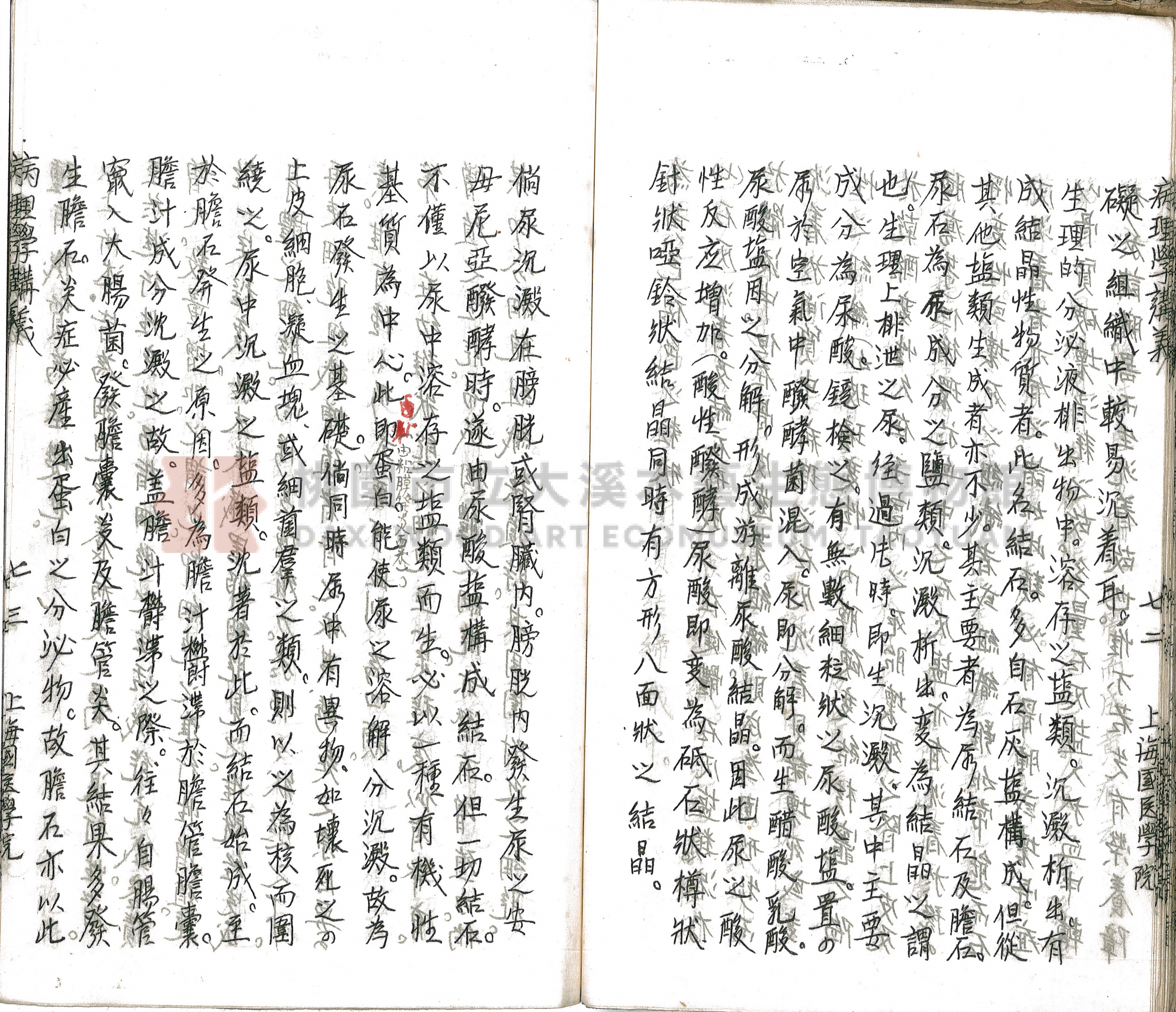 林長春抄寫《病理學講義》主題的圖片縮圖第78張
