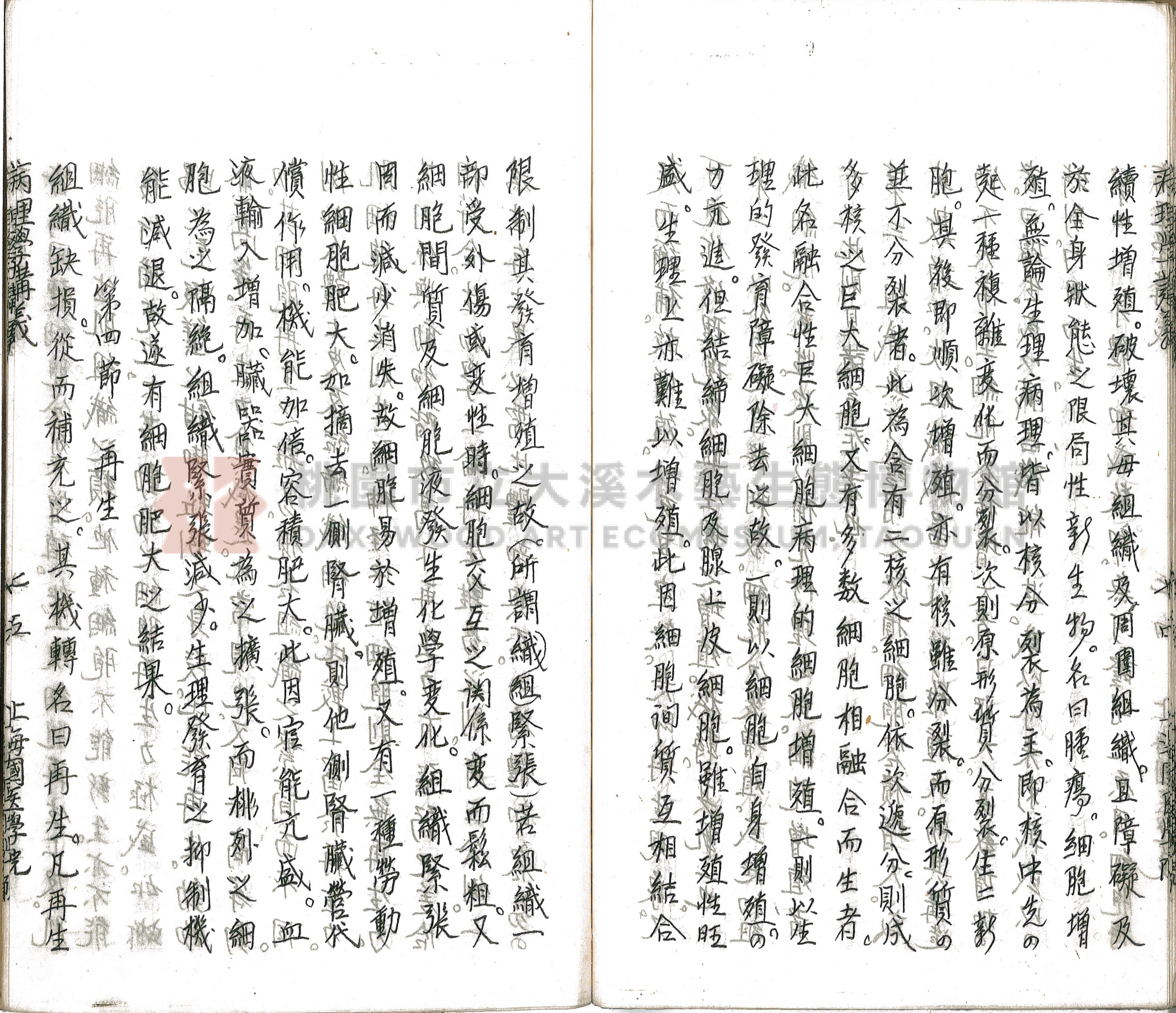 林長春抄寫《病理學講義》主題的圖片縮圖第80張