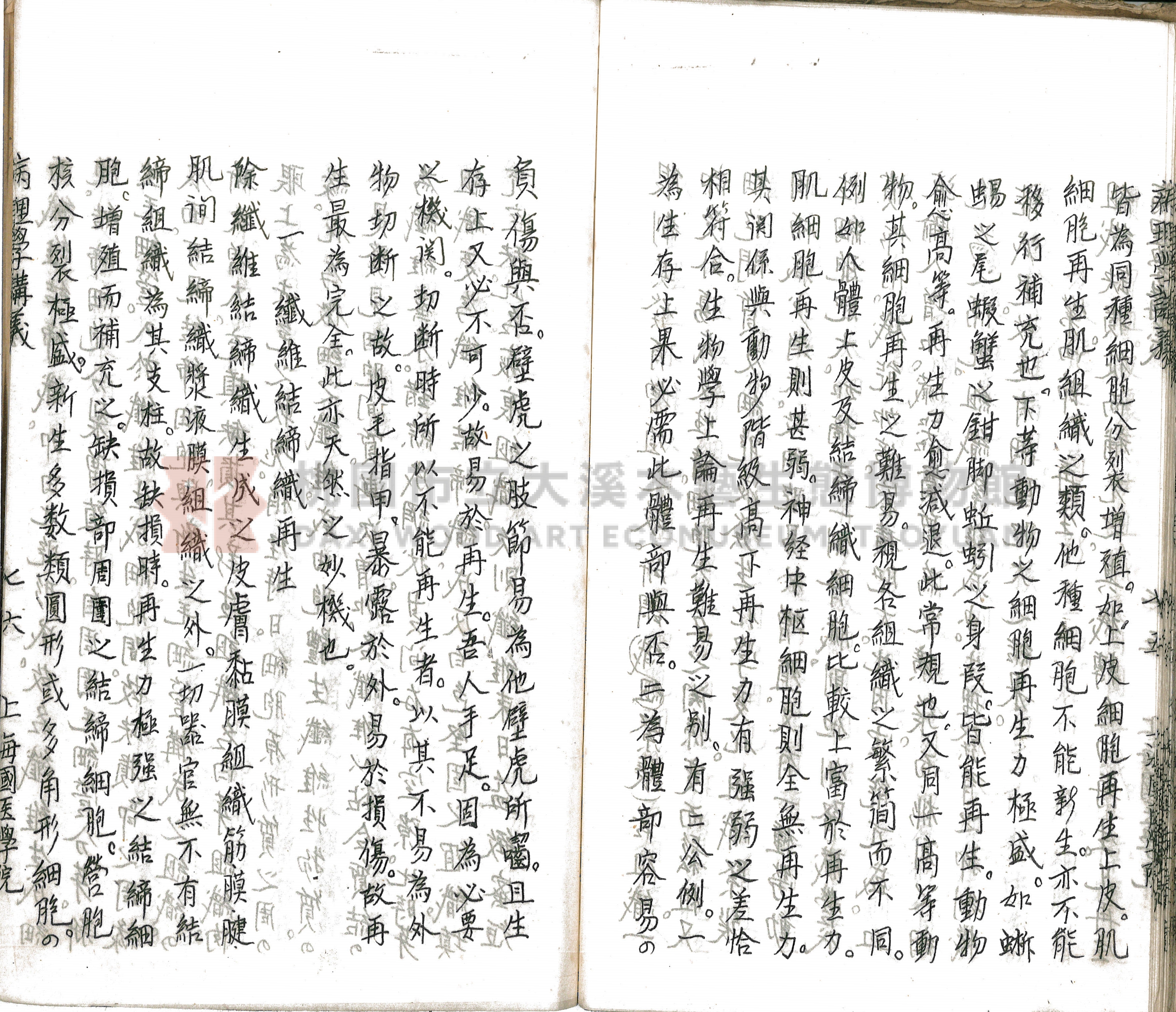 林長春抄寫《病理學講義》主題的圖片縮圖第81張