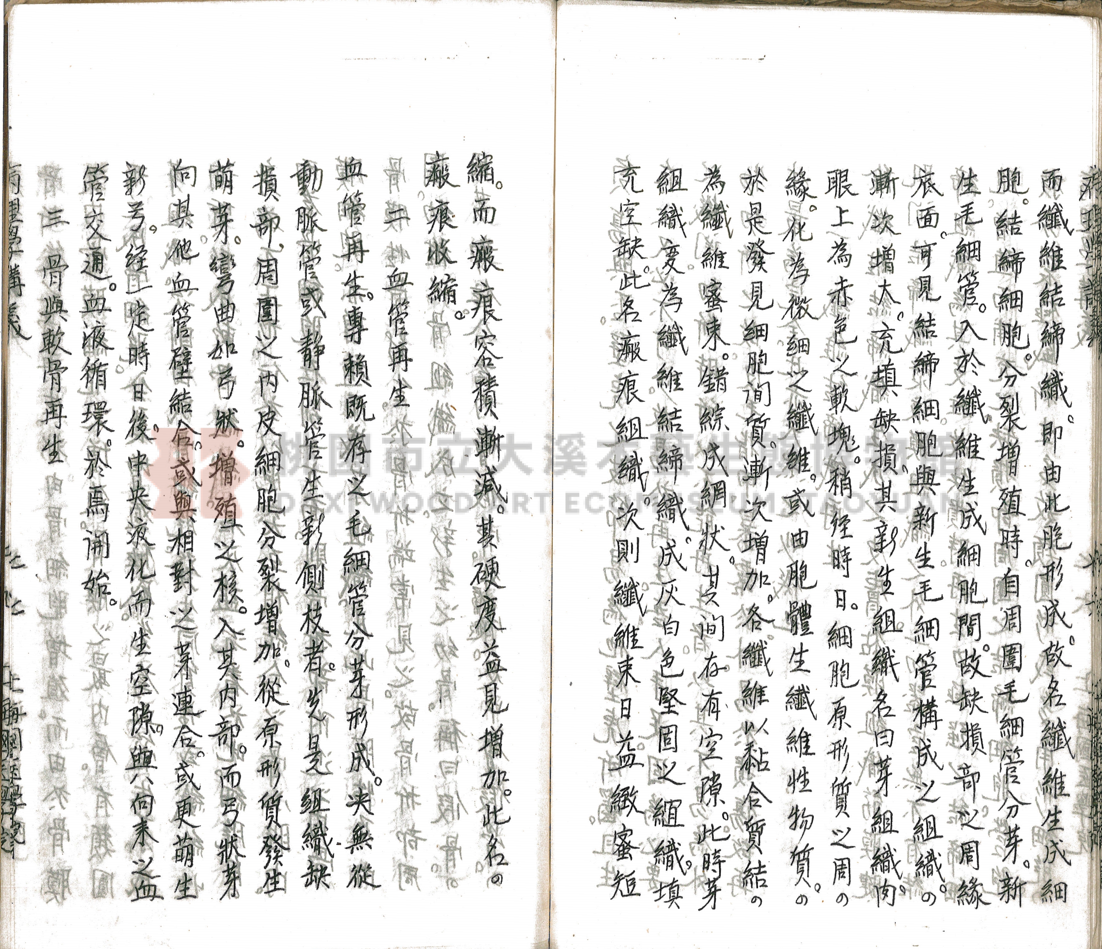 林長春抄寫《病理學講義》主題的圖片縮圖第82張