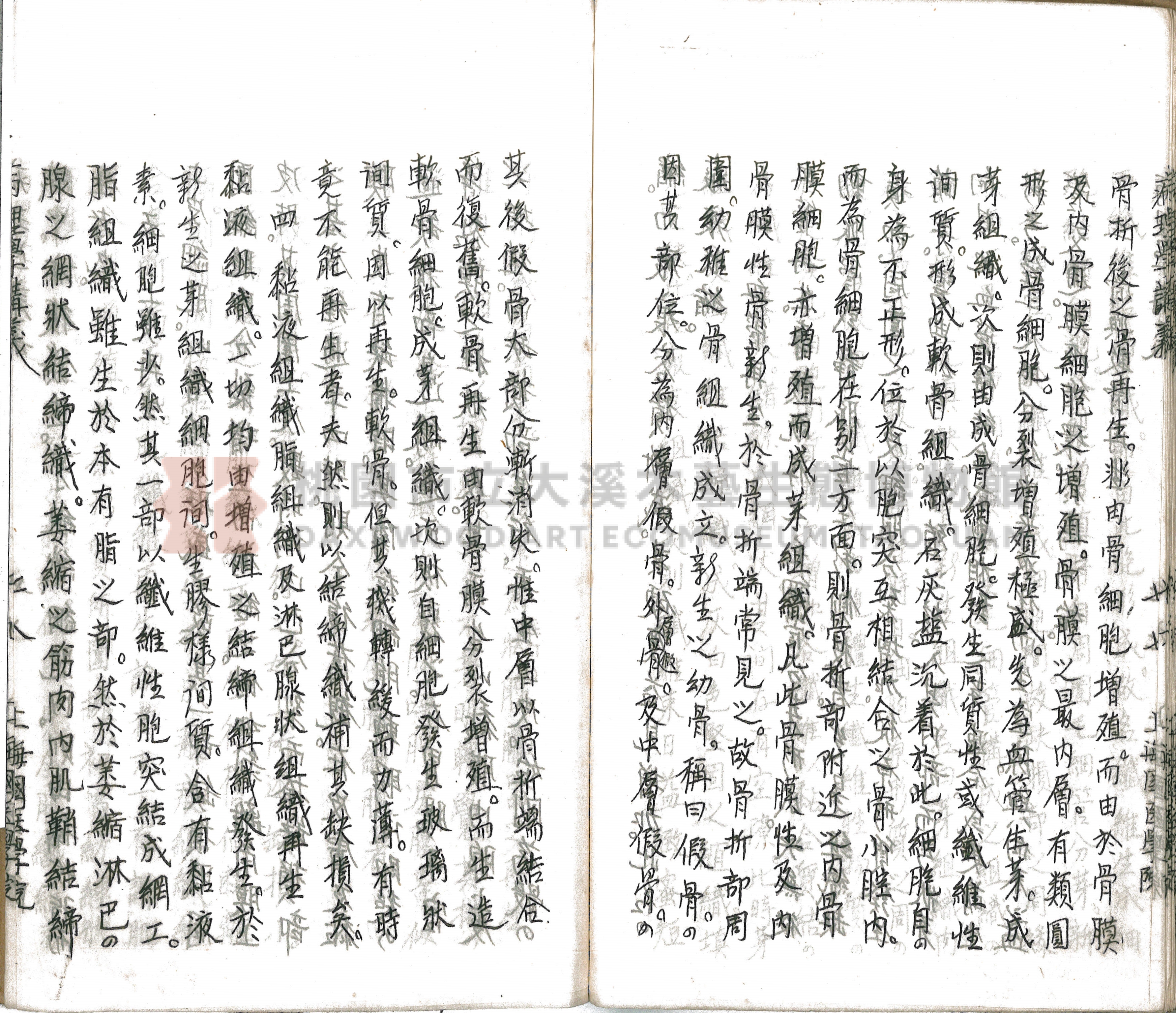 林長春抄寫《病理學講義》主題的圖片縮圖第83張