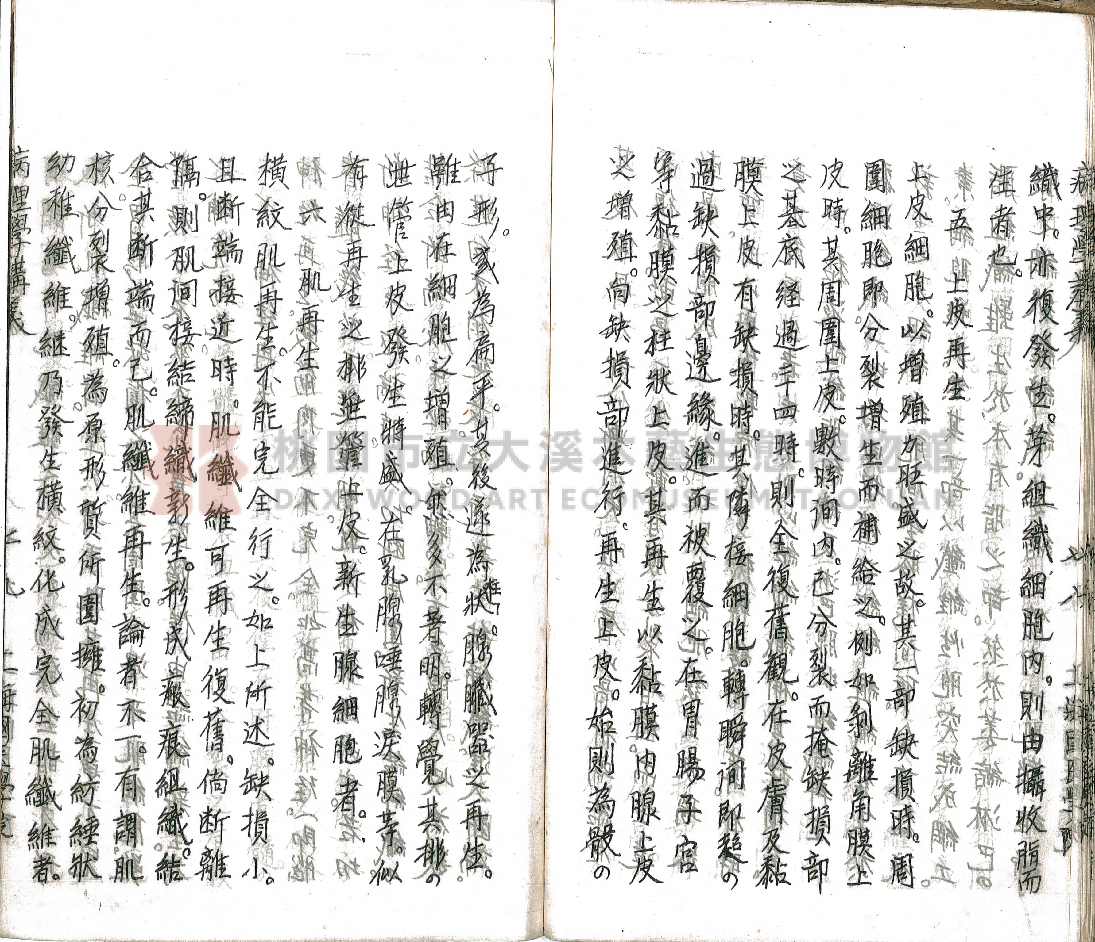 林長春抄寫《病理學講義》主題的圖片縮圖第84張