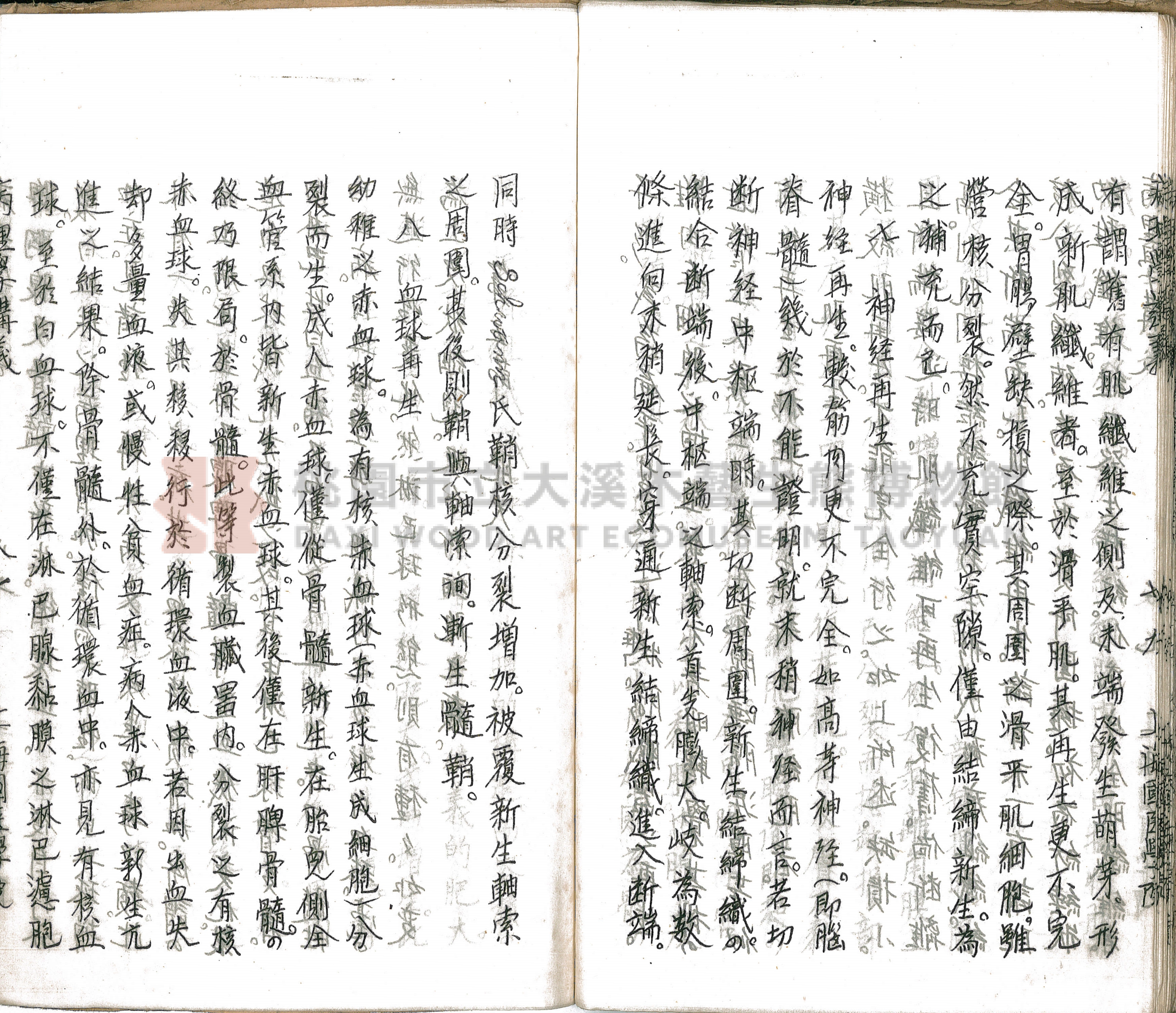 林長春抄寫《病理學講義》主題的圖片縮圖第85張