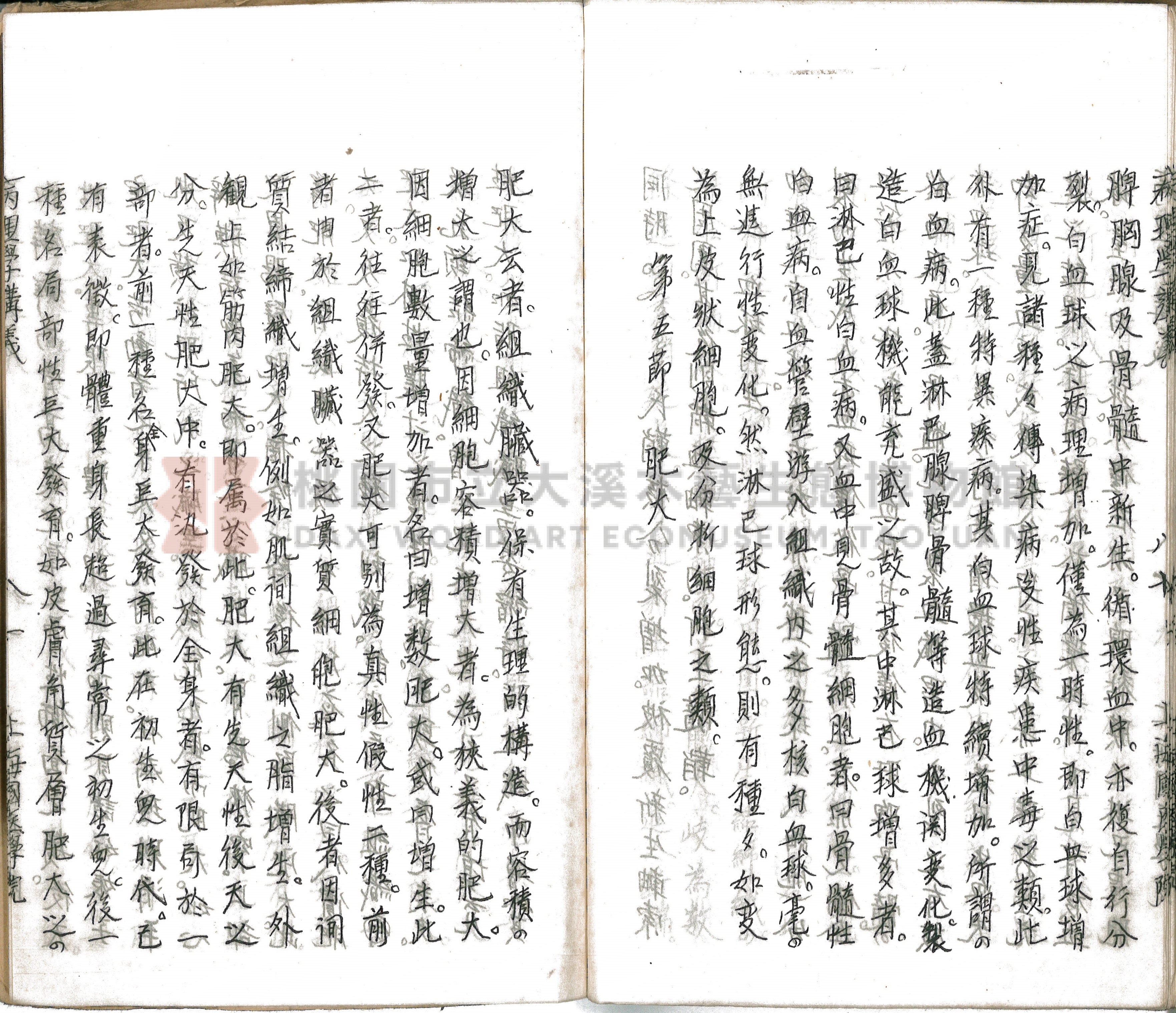 林長春抄寫《病理學講義》主題的圖片縮圖第86張