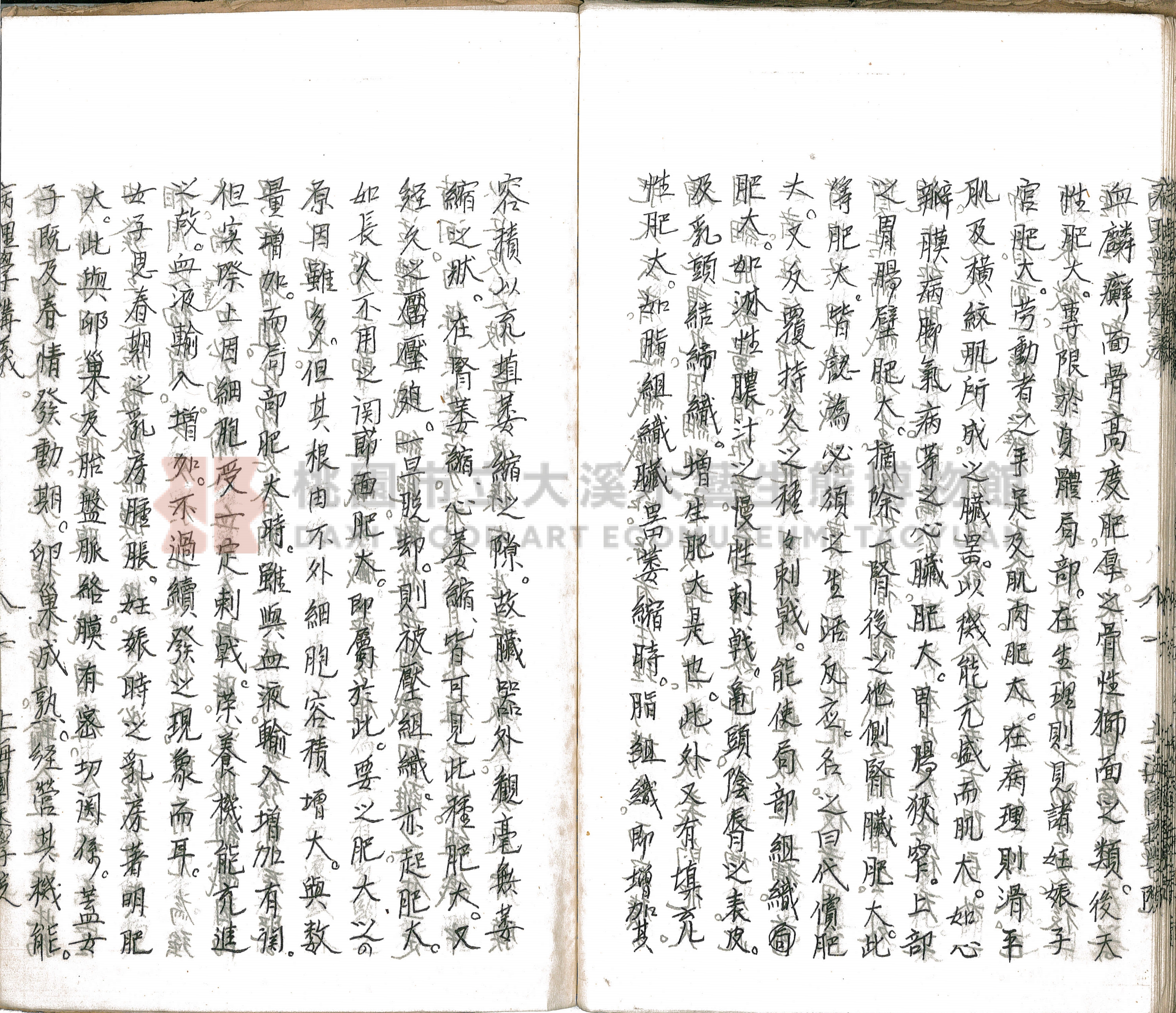 林長春抄寫《病理學講義》主題的圖片縮圖第87張