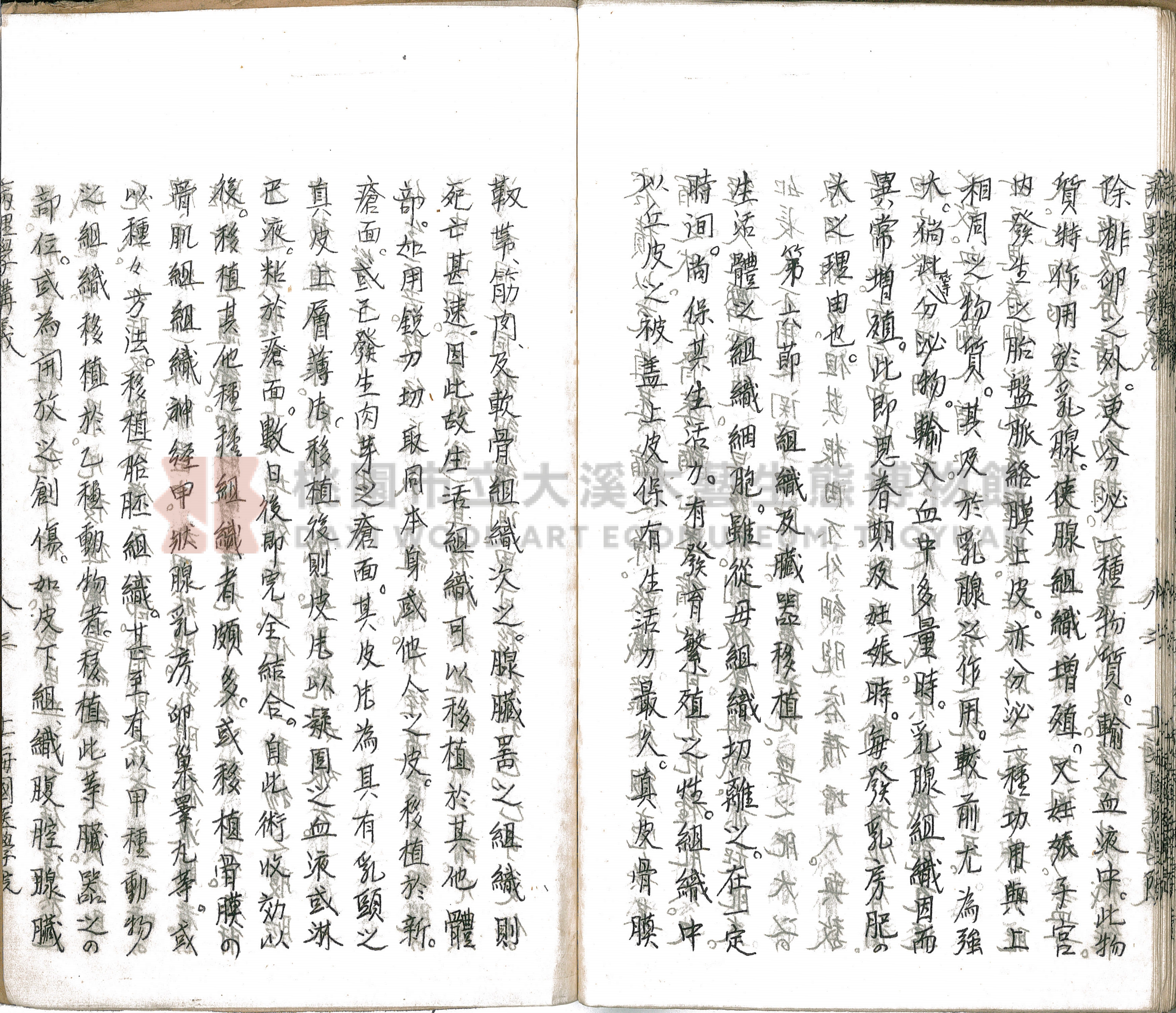 林長春抄寫《病理學講義》主題的圖片縮圖第88張
