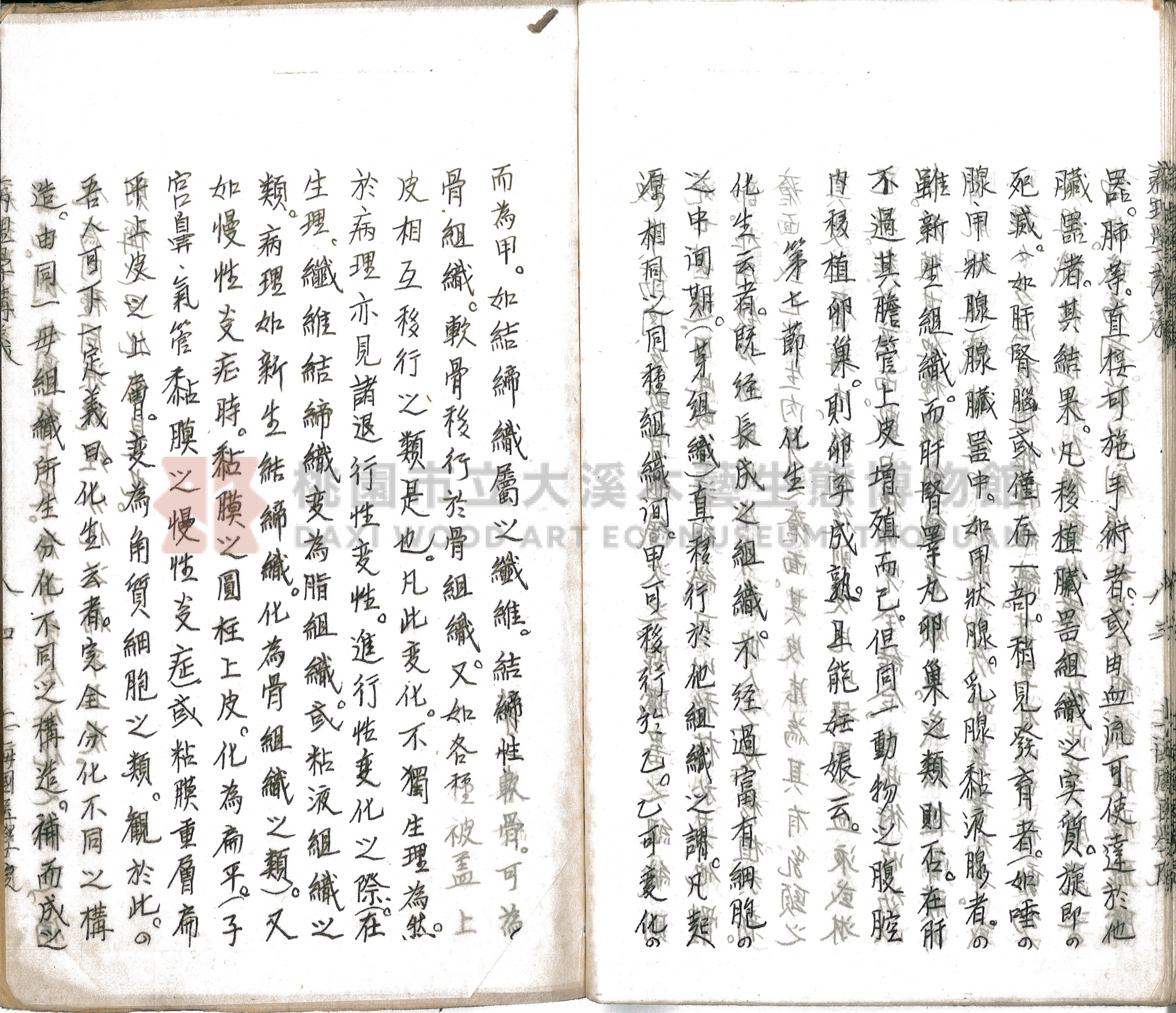 林長春抄寫《病理學講義》主題的圖片縮圖第89張