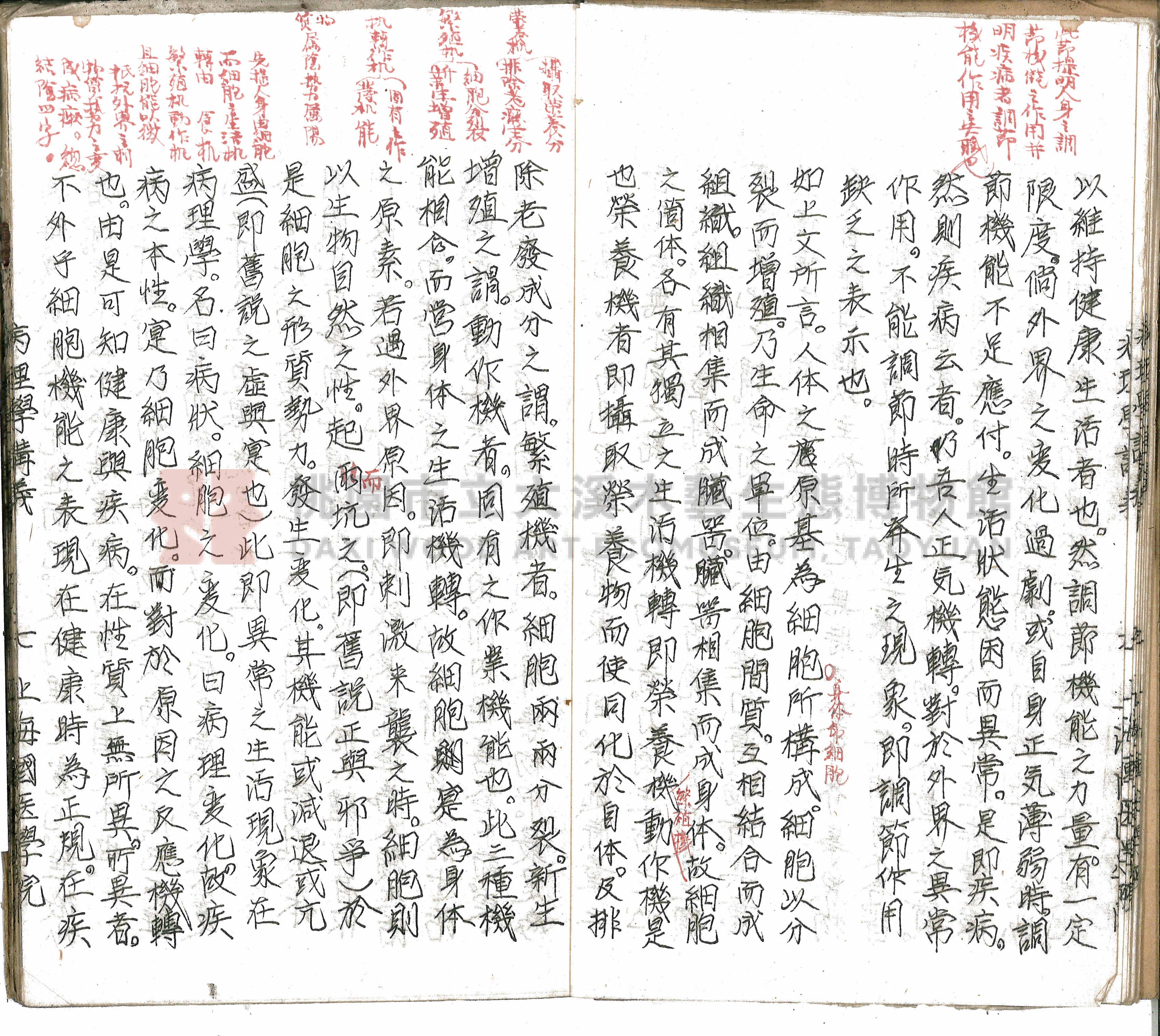 林長春抄寫《病理學講義》主題的圖片縮圖第10張