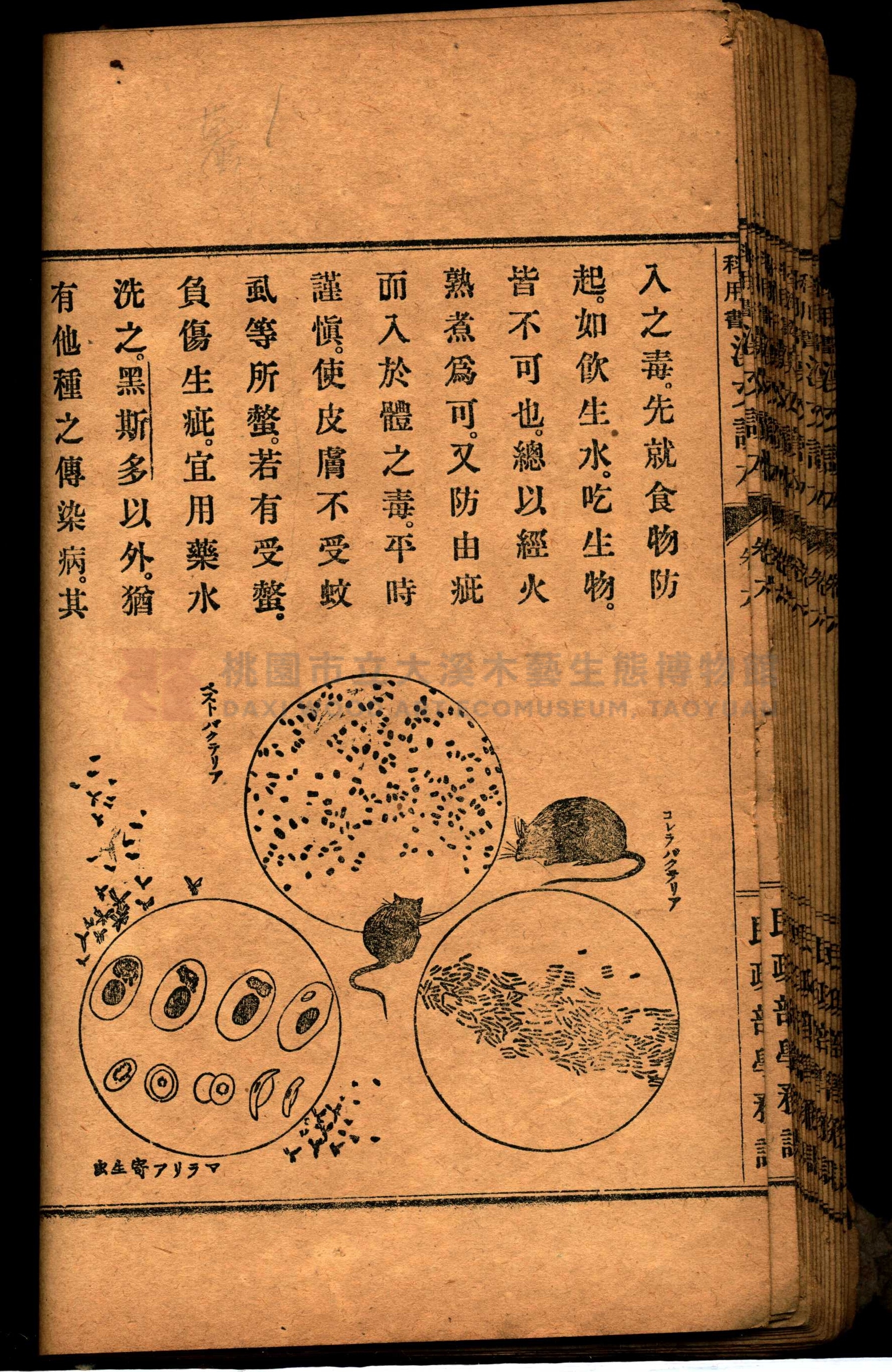 《臺灣教科用書漢文讀本：卷六》主題的圖片縮圖第37張