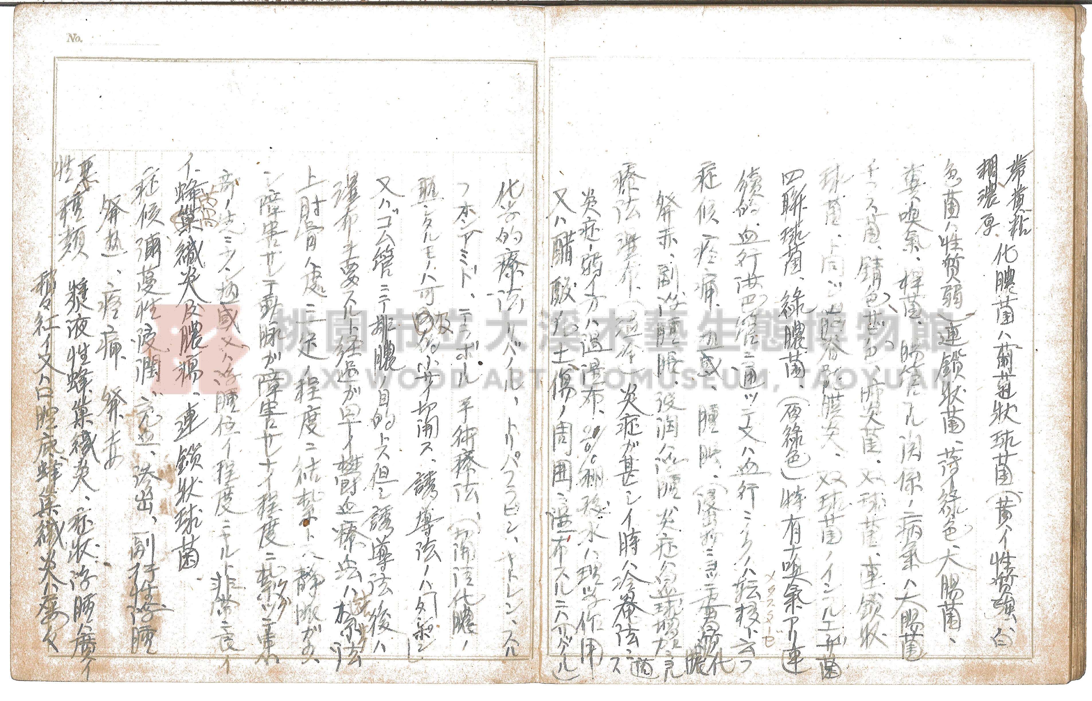 〈外科學筆記〉主題的圖片縮圖第16張