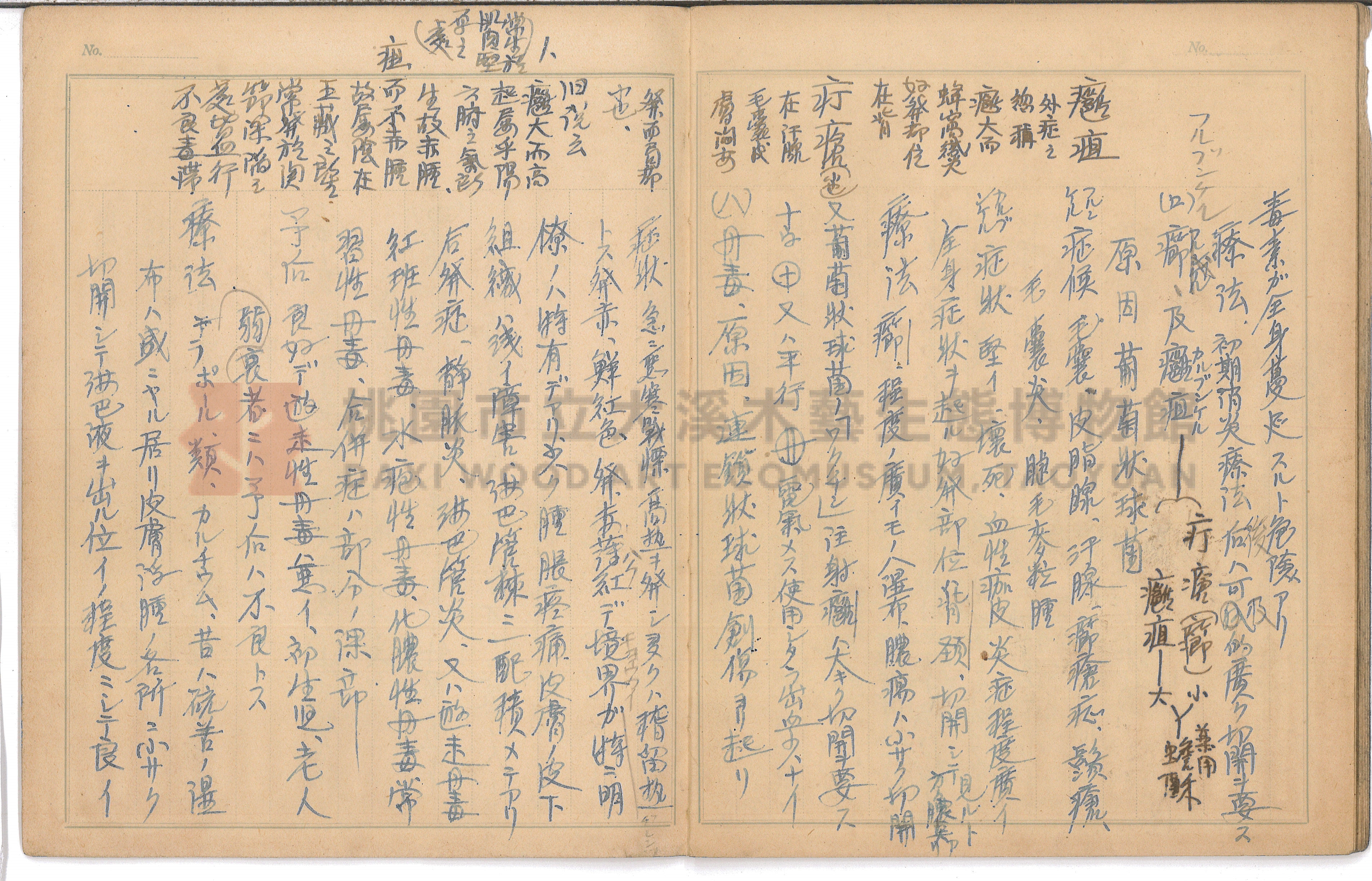 〈外科學筆記〉主題的圖片縮圖第17張