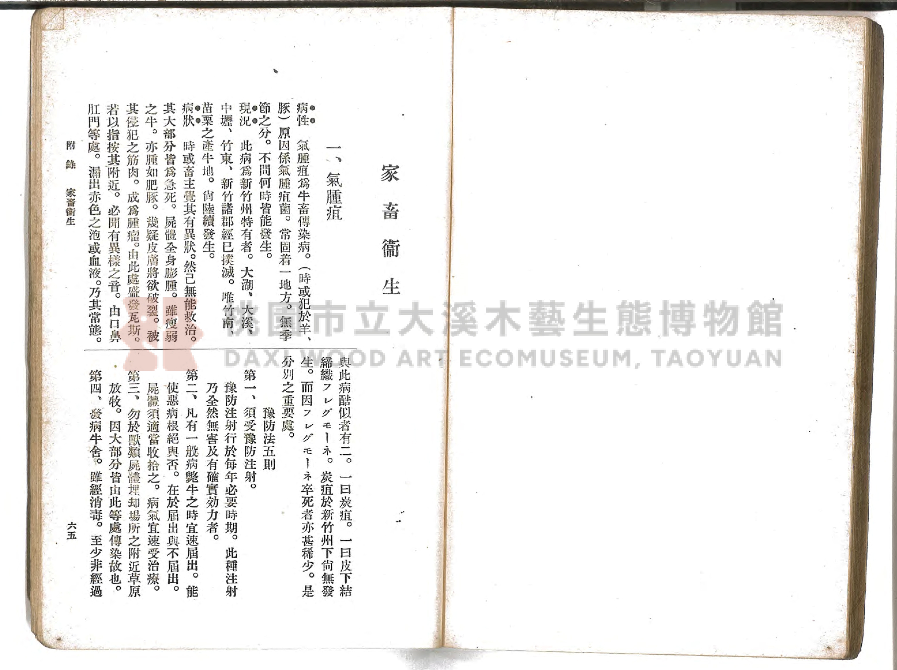 《通俗家庭衛生》主題的圖片縮圖第94張