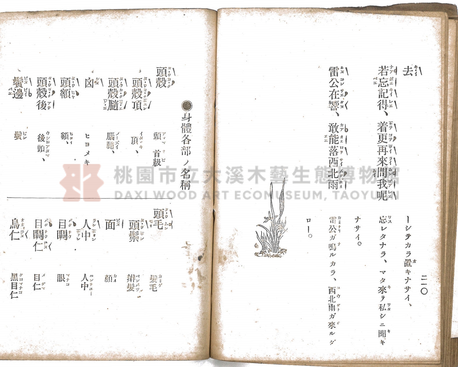 《臺灣適用衛生會話新篇》主題的圖片縮圖第108張