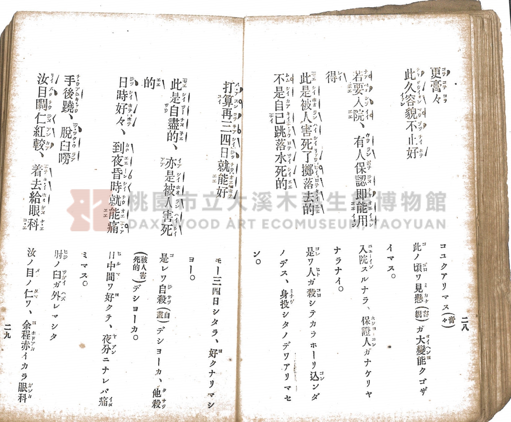 《臺灣適用衛生會話新篇》主題的圖片縮圖第23張