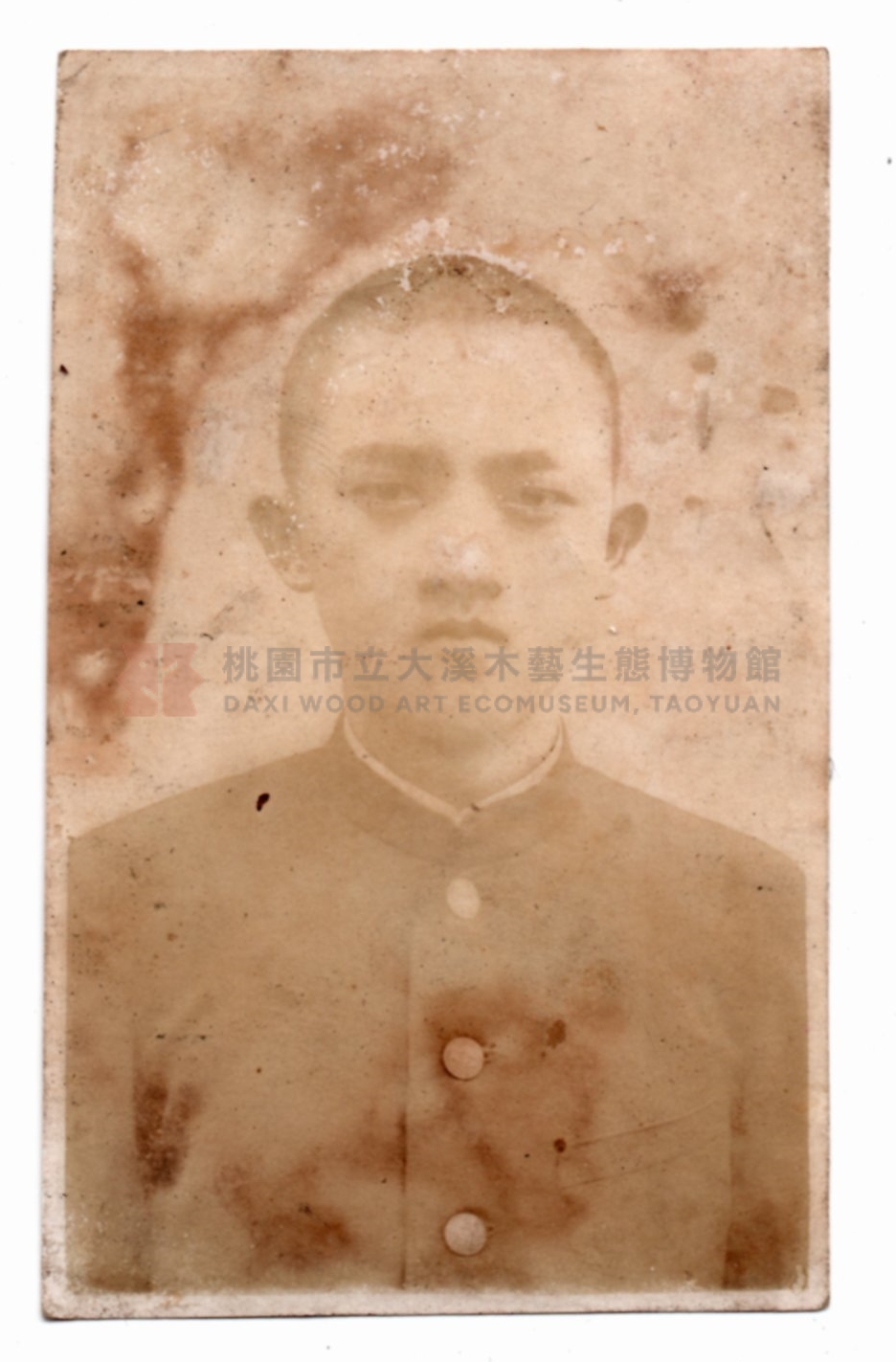 林長燦主題的圖片縮圖第2張